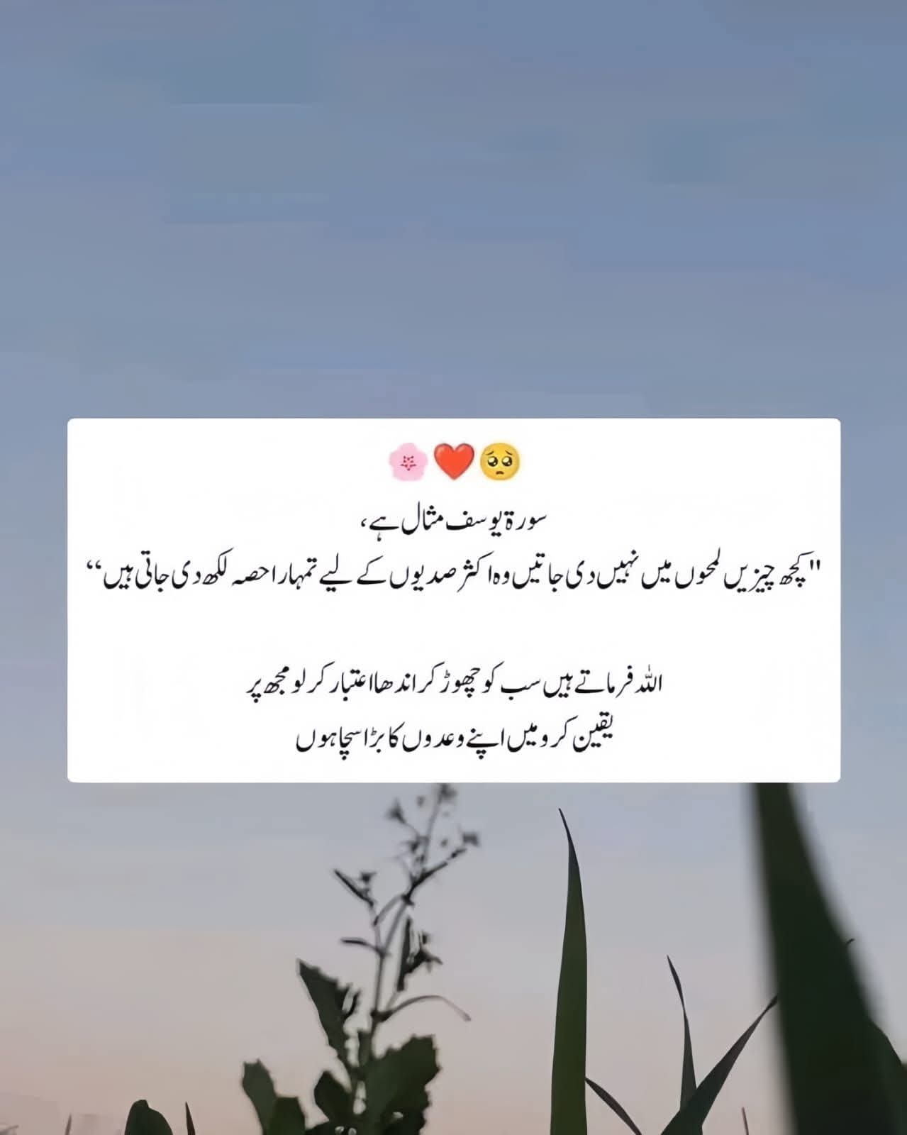 @Minahil_writes510