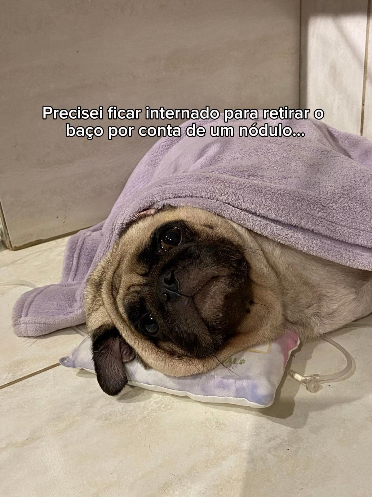 @FRANKINHO