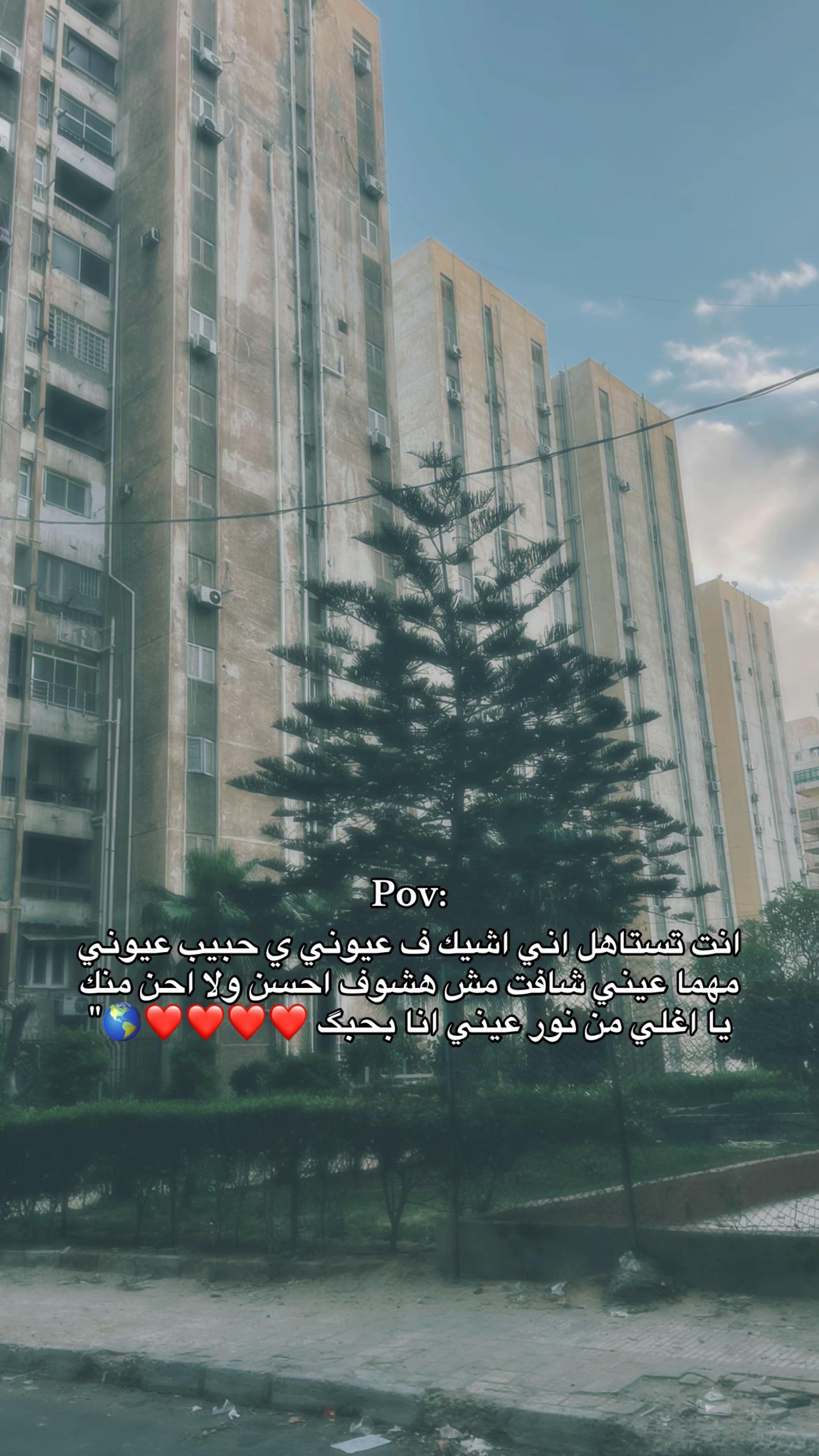 @loza_adel