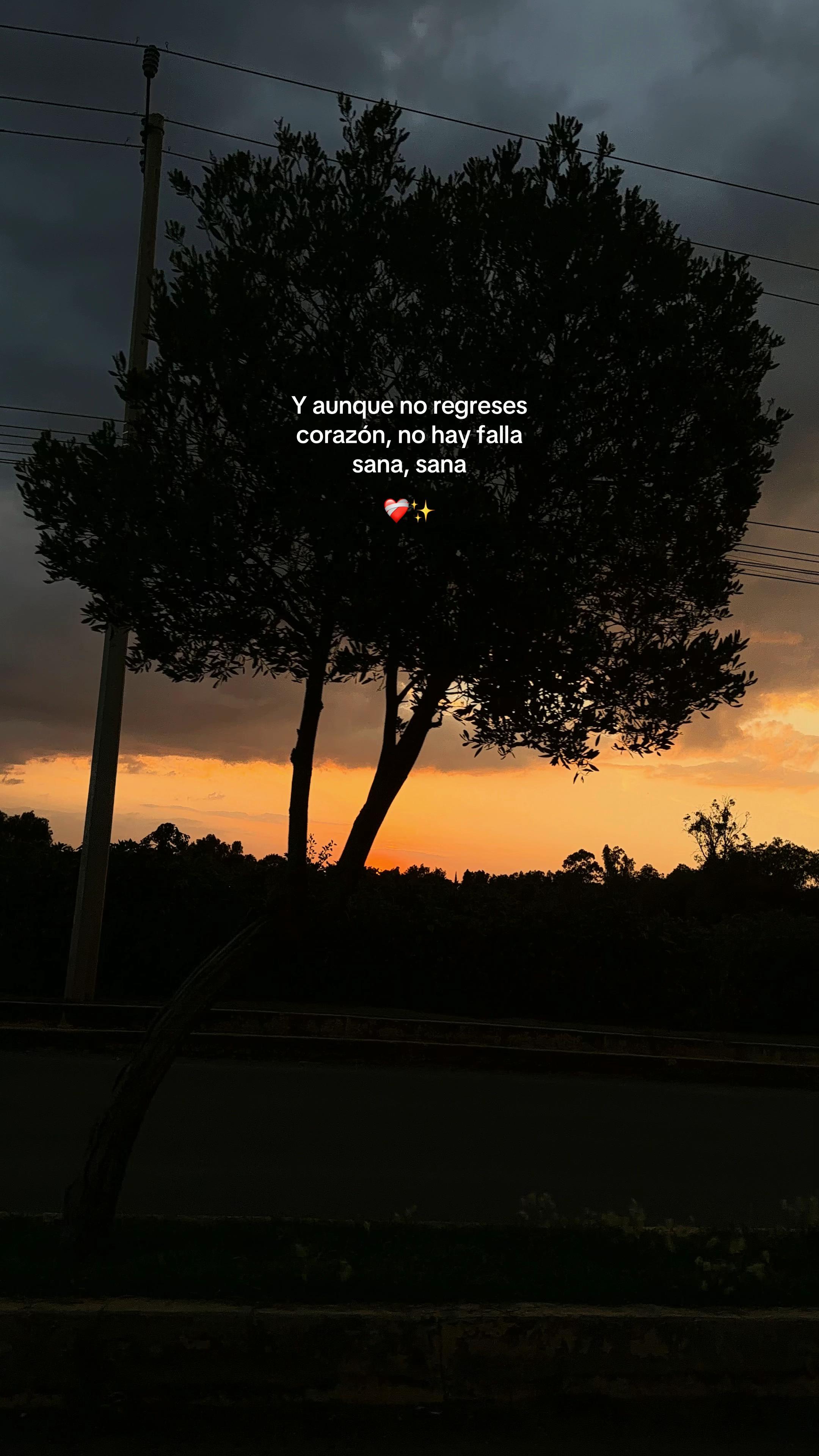 @Dani 🦢✨🩷