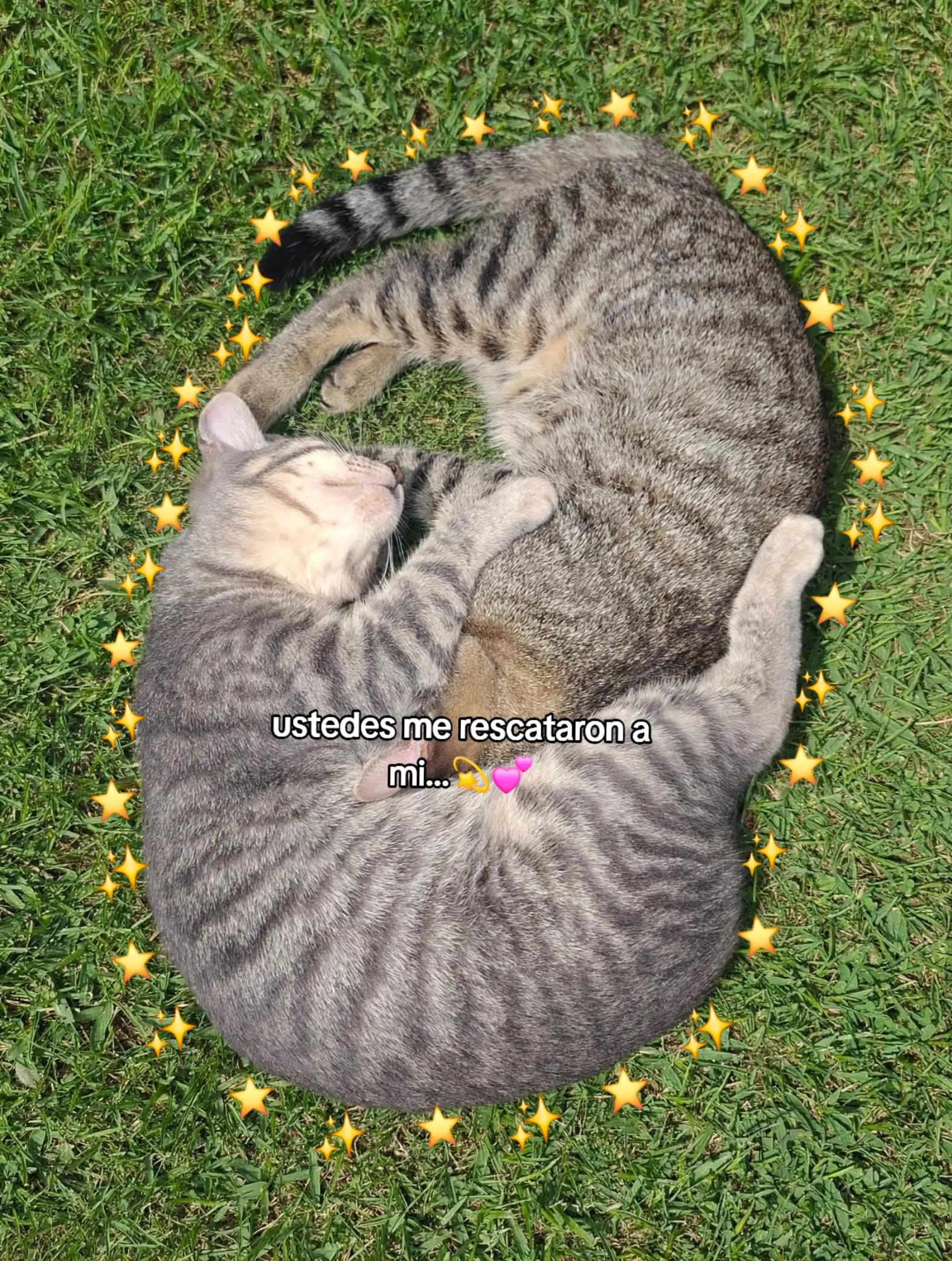 @mary🐱💞