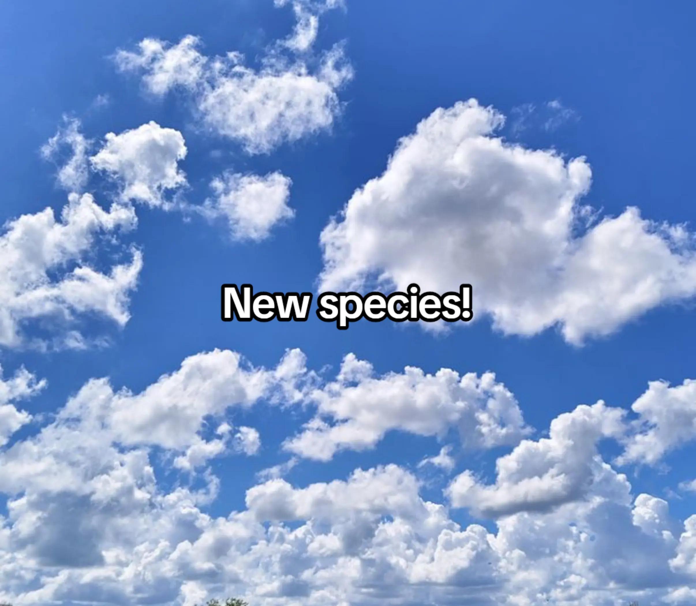 @☁️