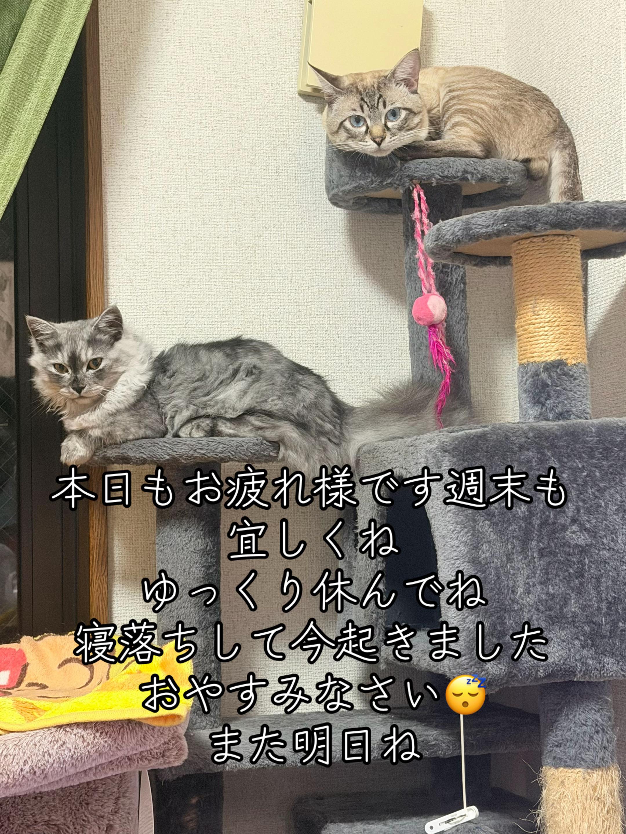 @🥀黒澤正志🥀