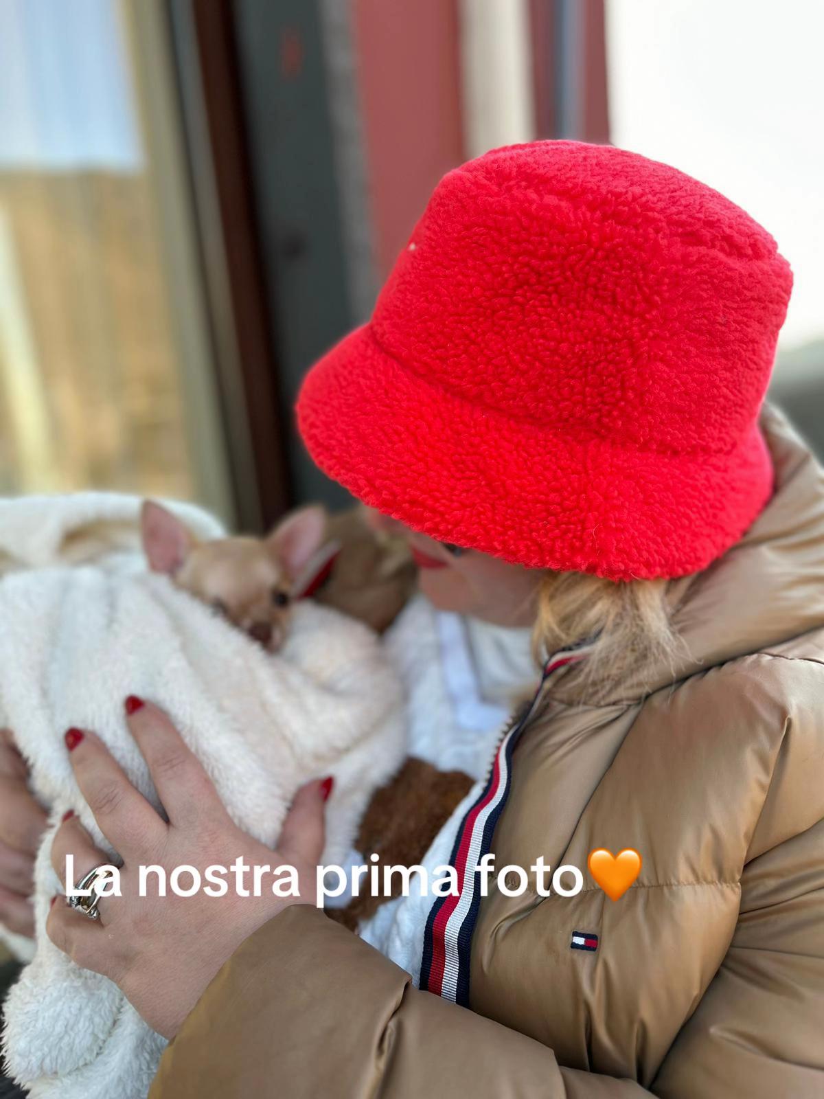 @BAT&Ugrave;