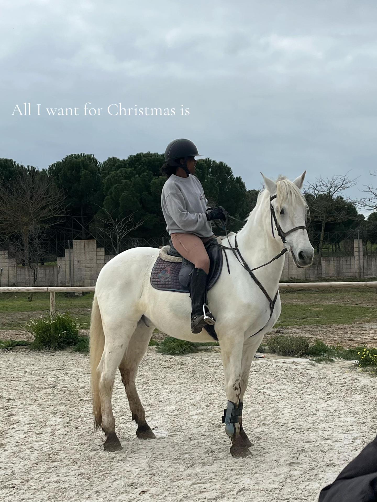 @lilaa 🏇🫀