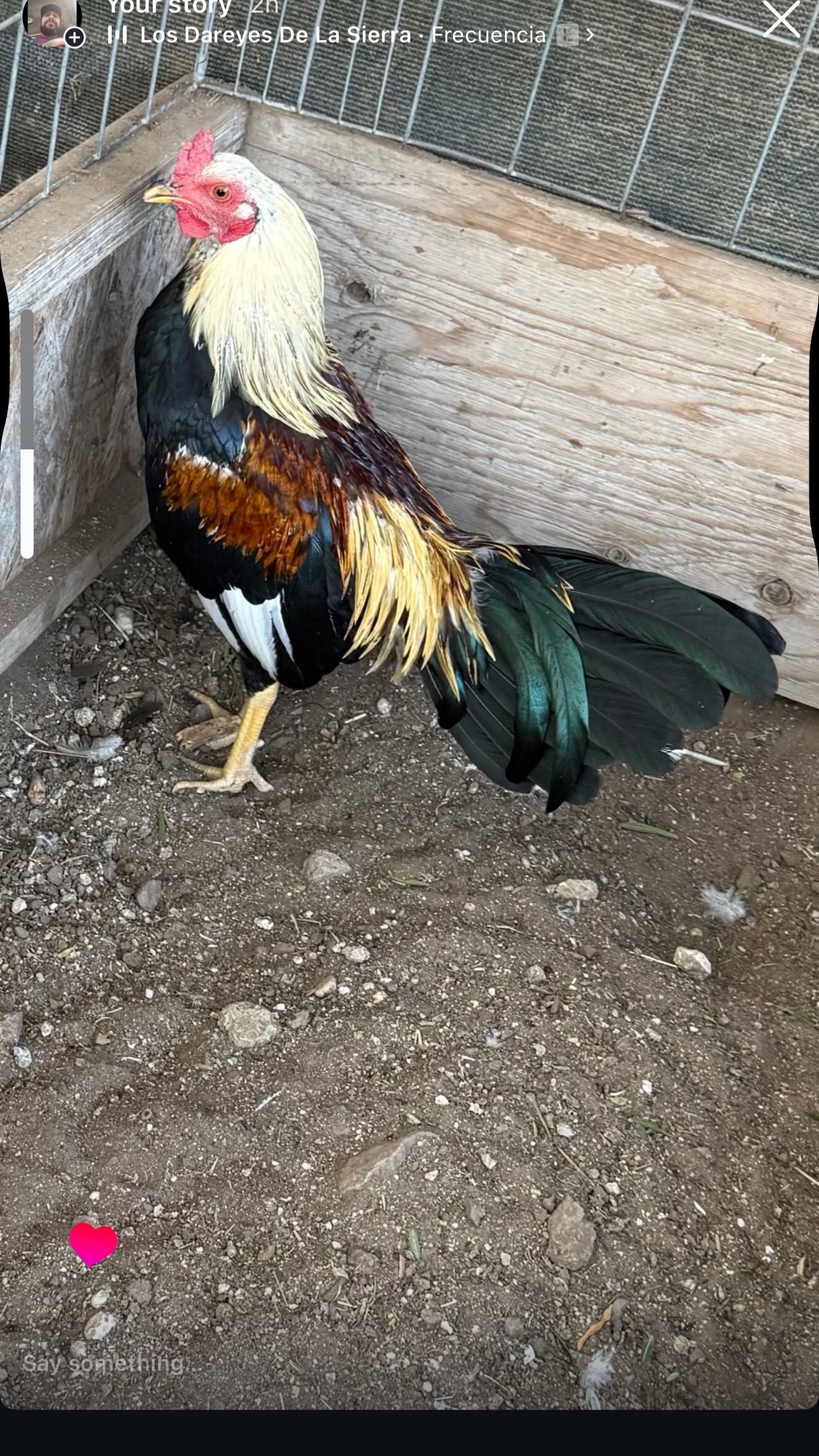 @los cal&eacute;ntanos game farm