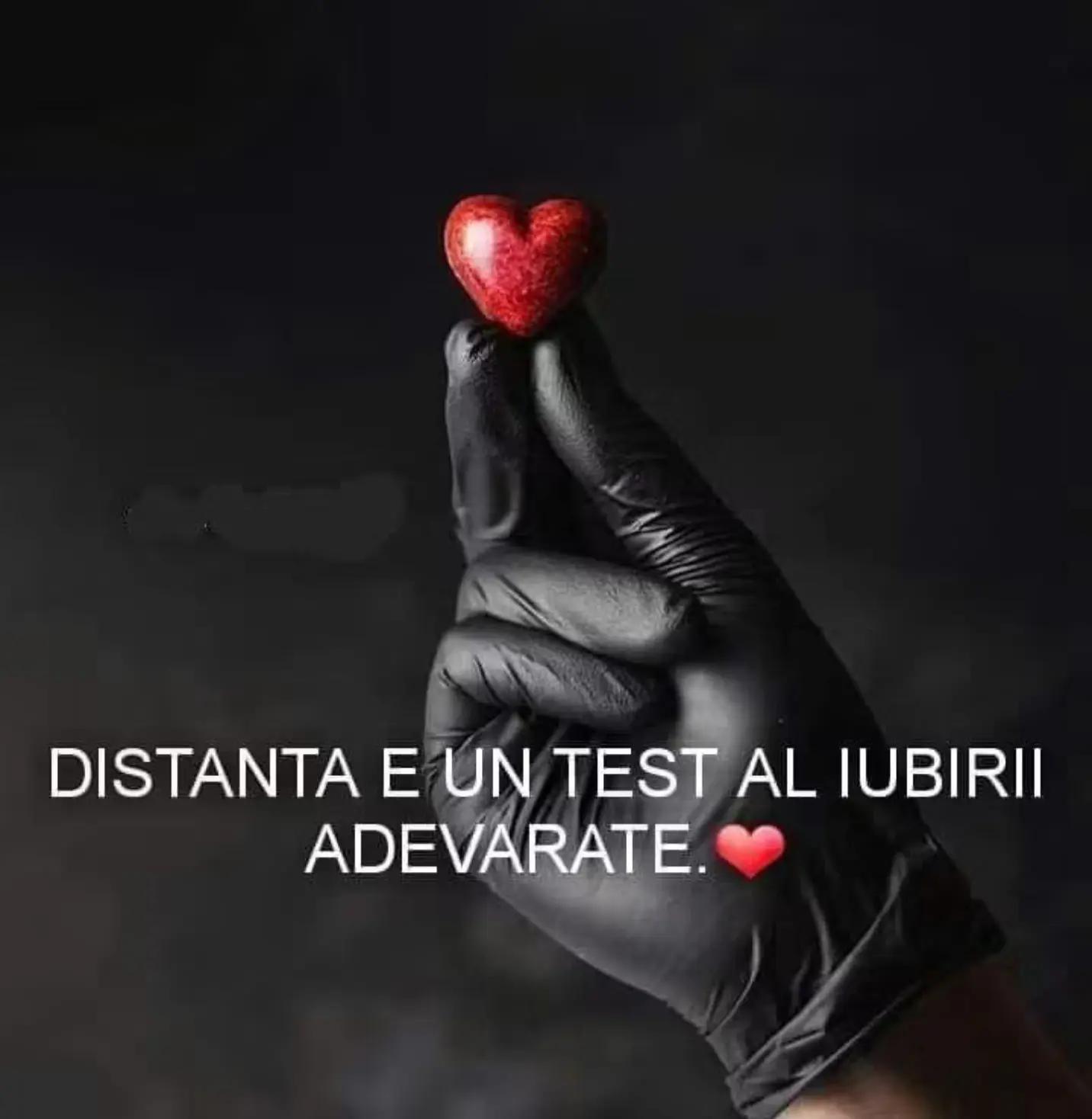 @alee