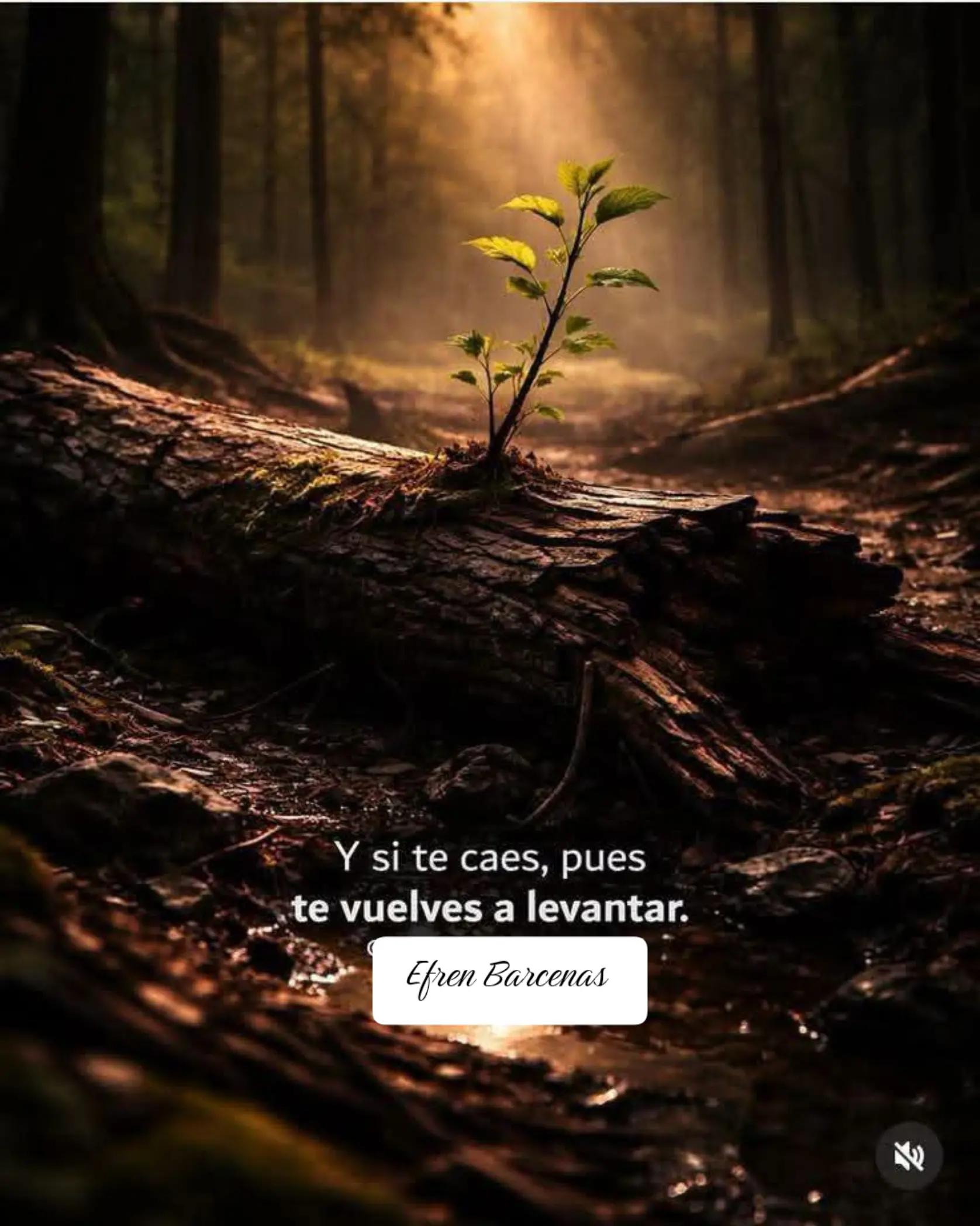 @efren Barcenas