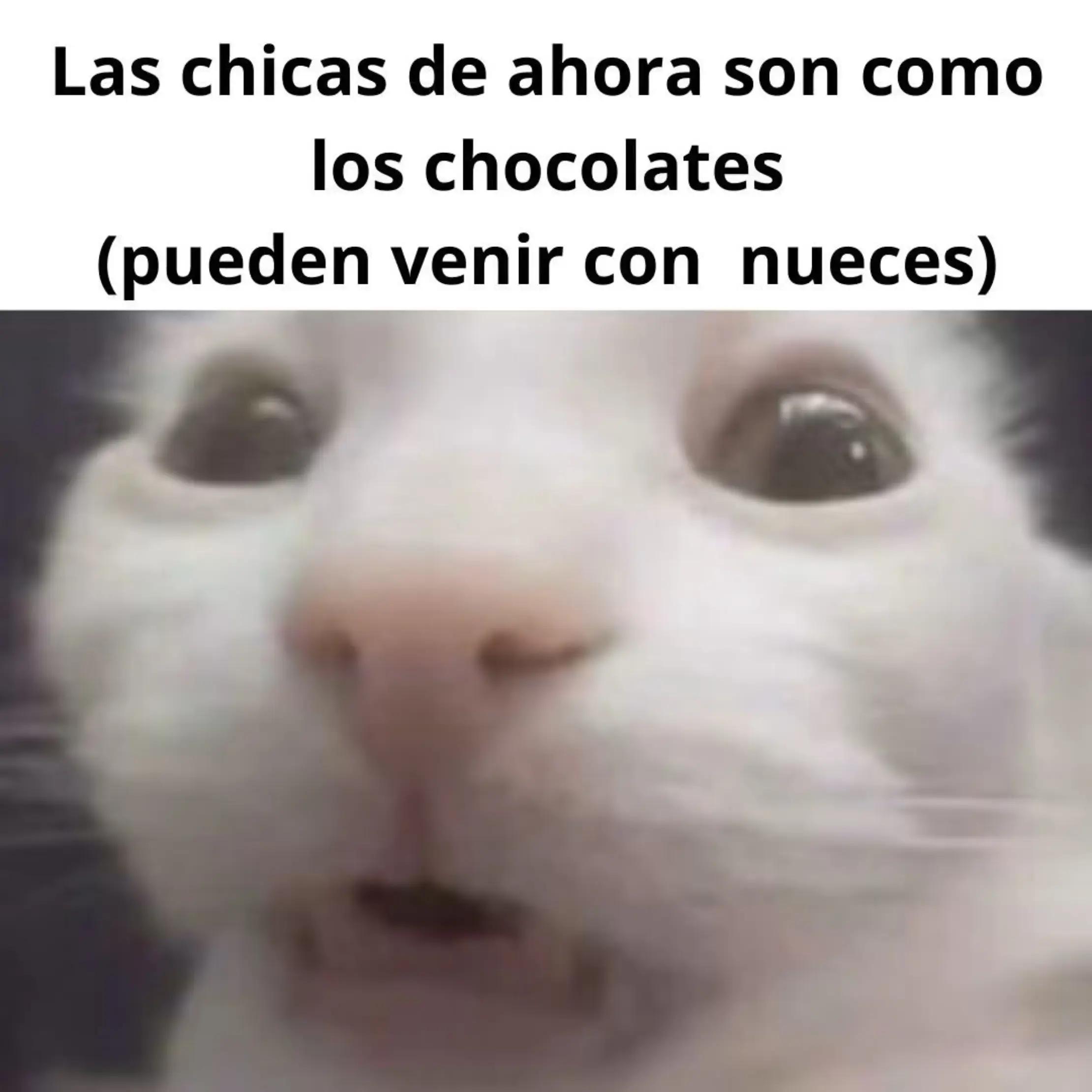 @Dark🏳️&zwj;⚧️Carolina