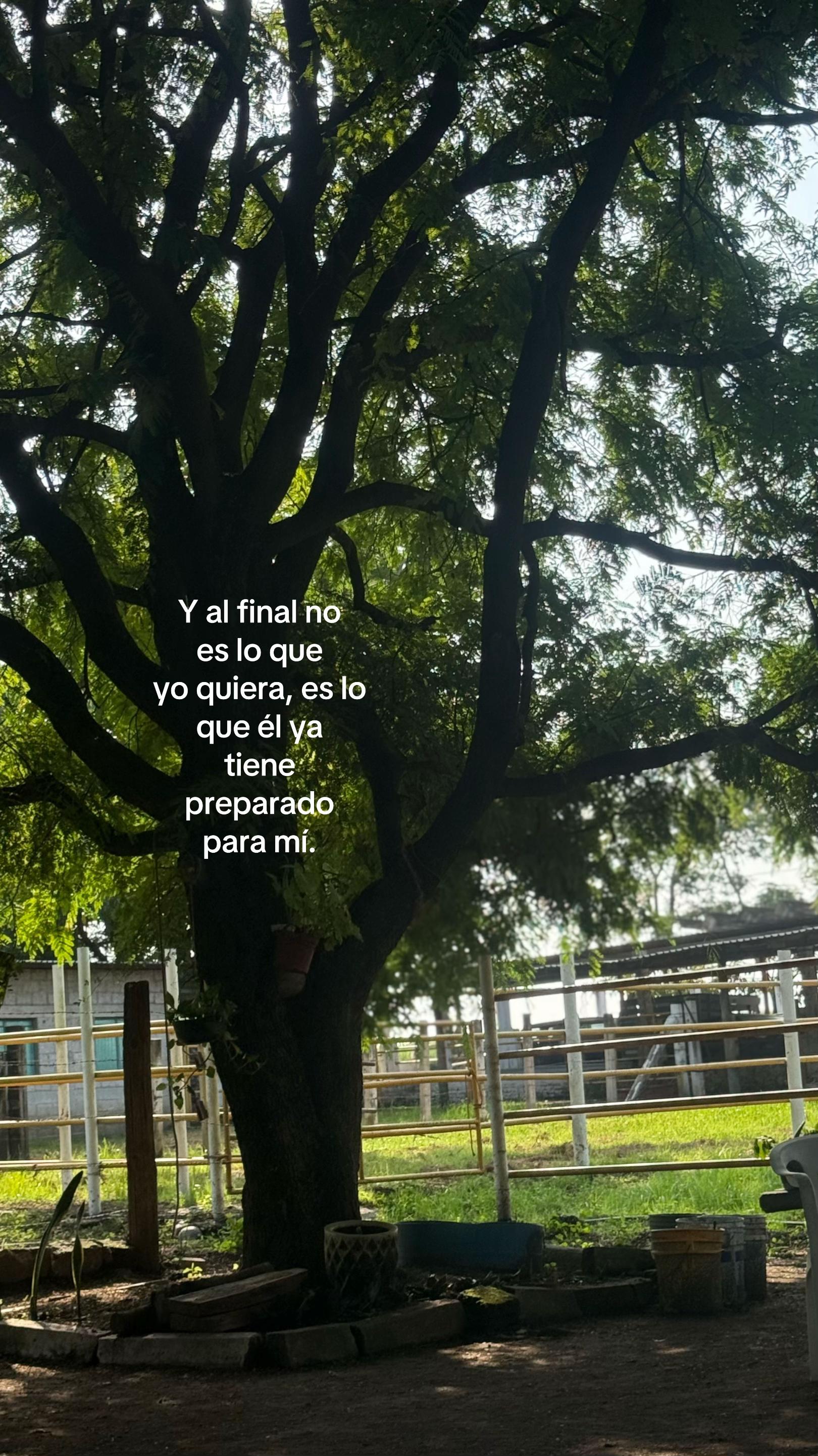 @Daniela Aguilar