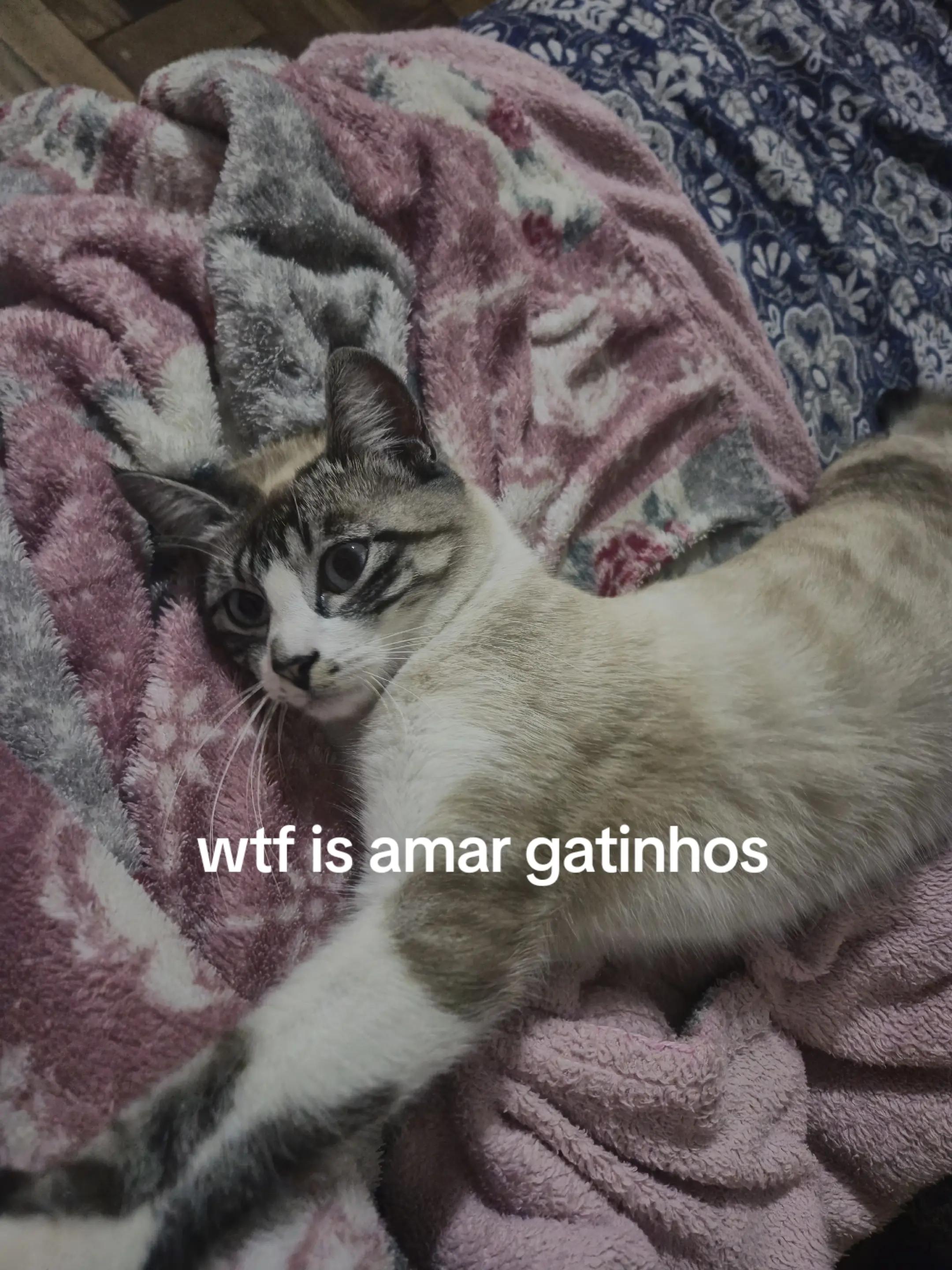 @no.bi