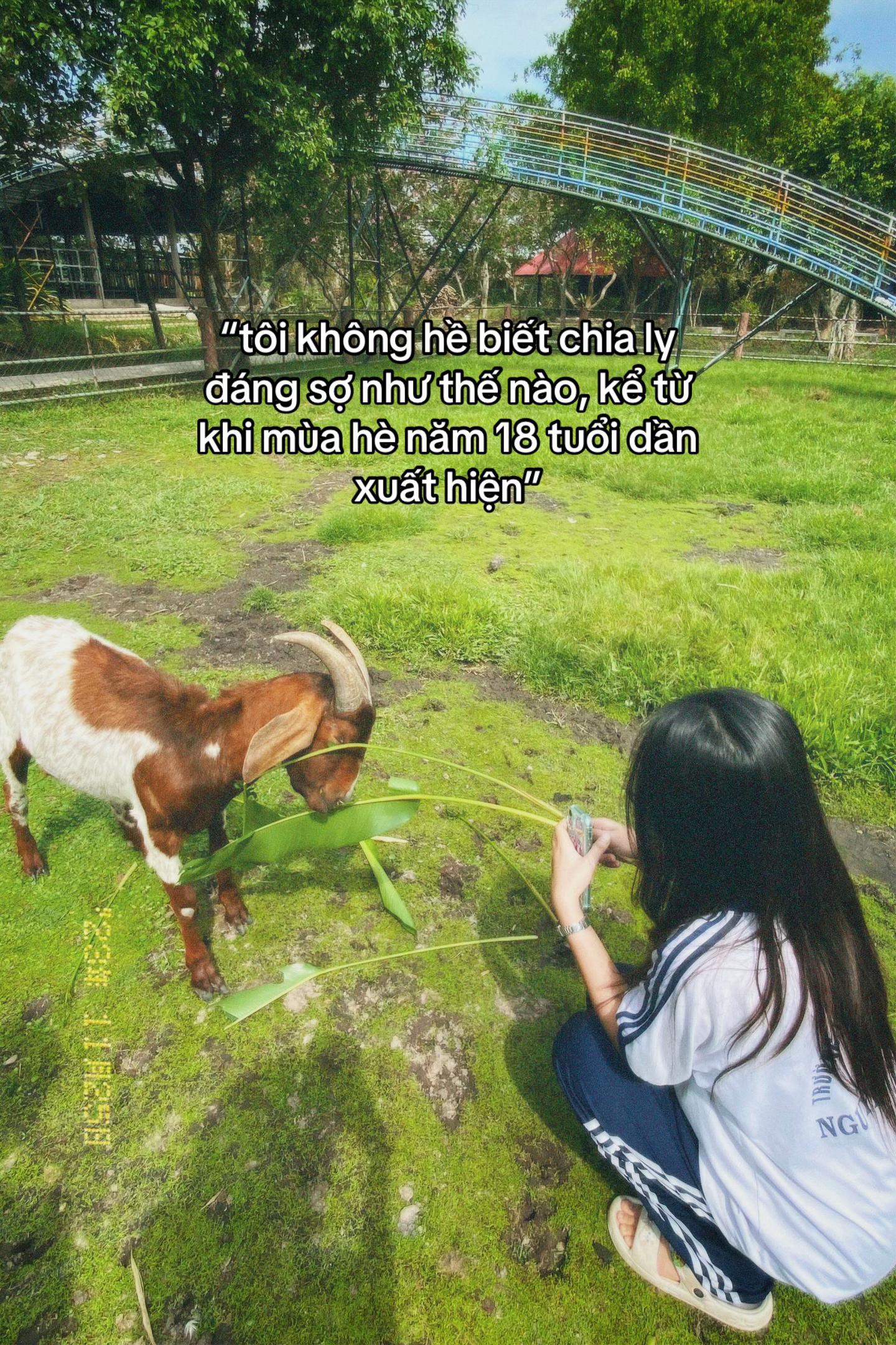 @Dquynh đời thường🚶♀️➡️