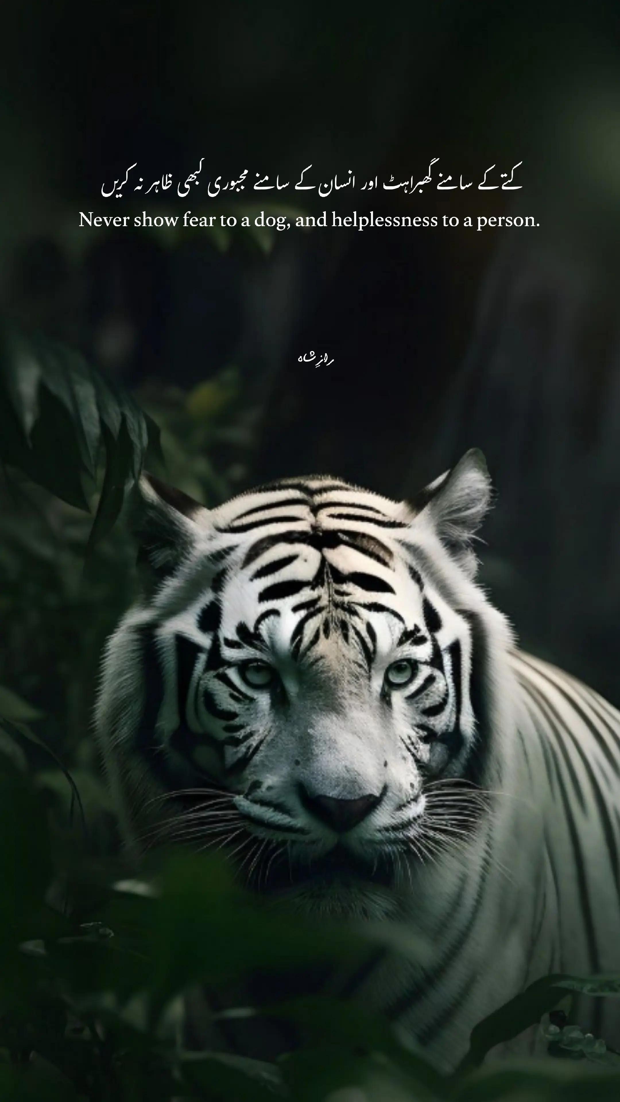@RAAZ &Ecirc; SHAH