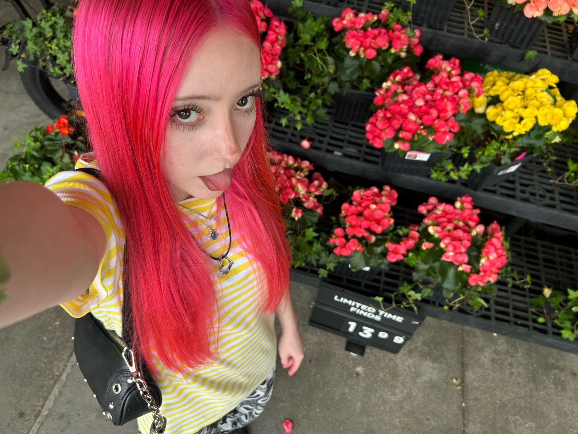 @*:・゚✧*:・゚✧