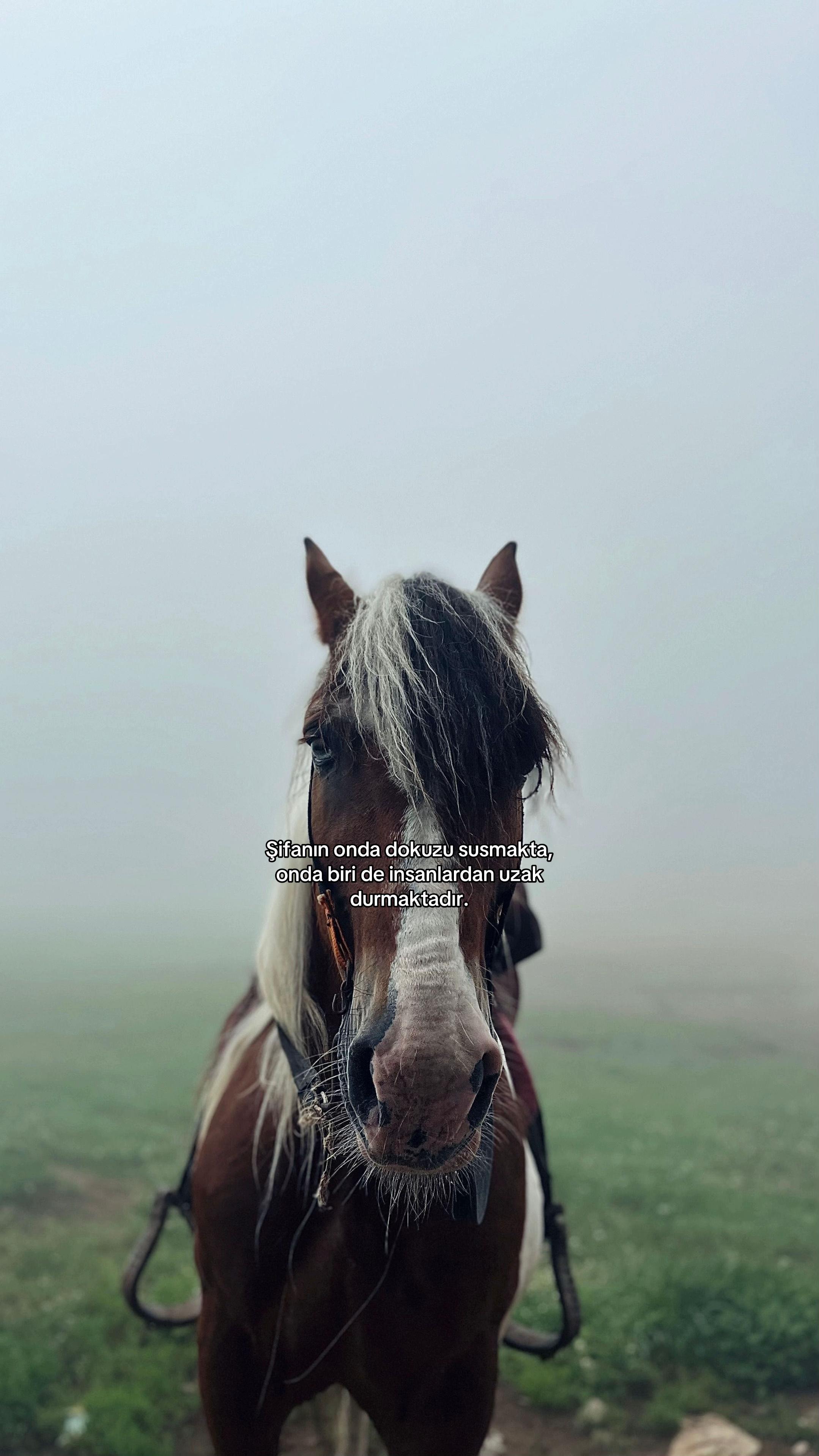 @𝒜