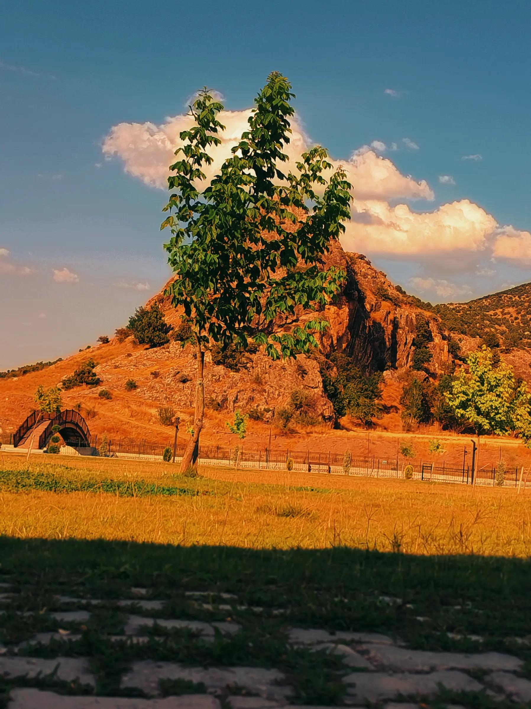 @yozgat 66