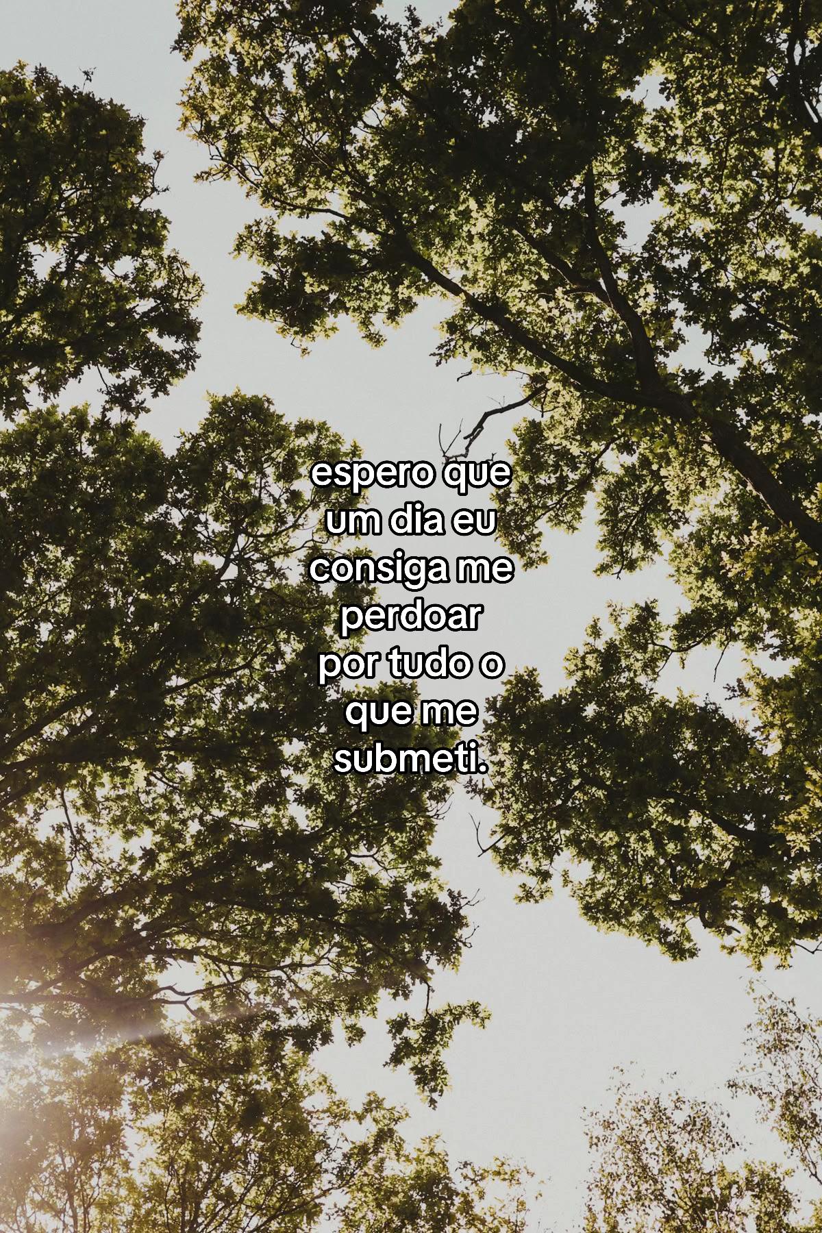 @cicatrizes po&eacute;ticas