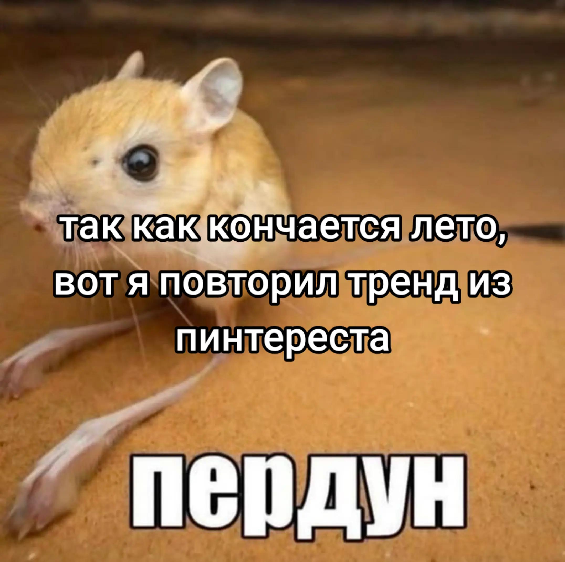 @Не наш слоняра 2