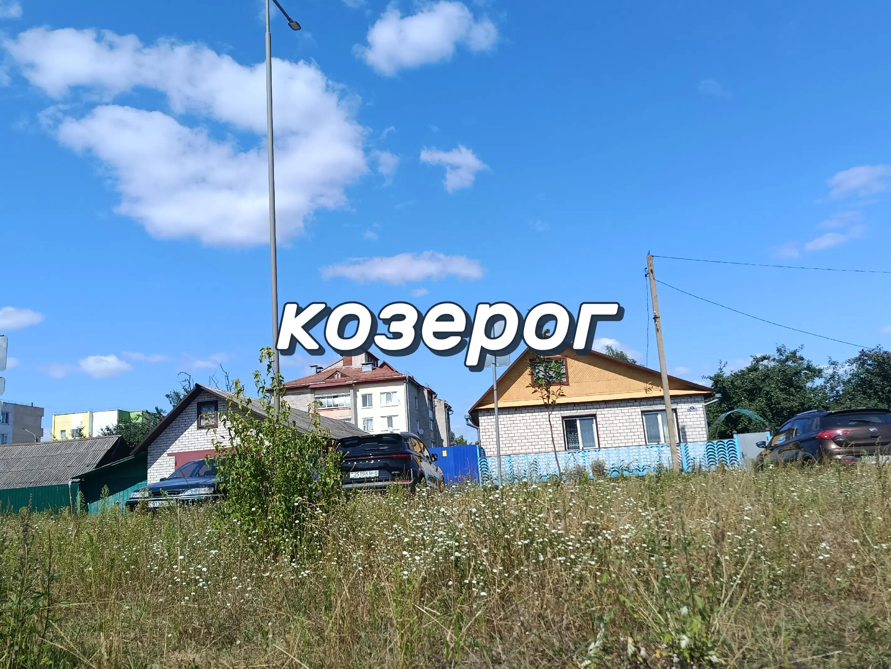 @ᴀнютᴀ🪼