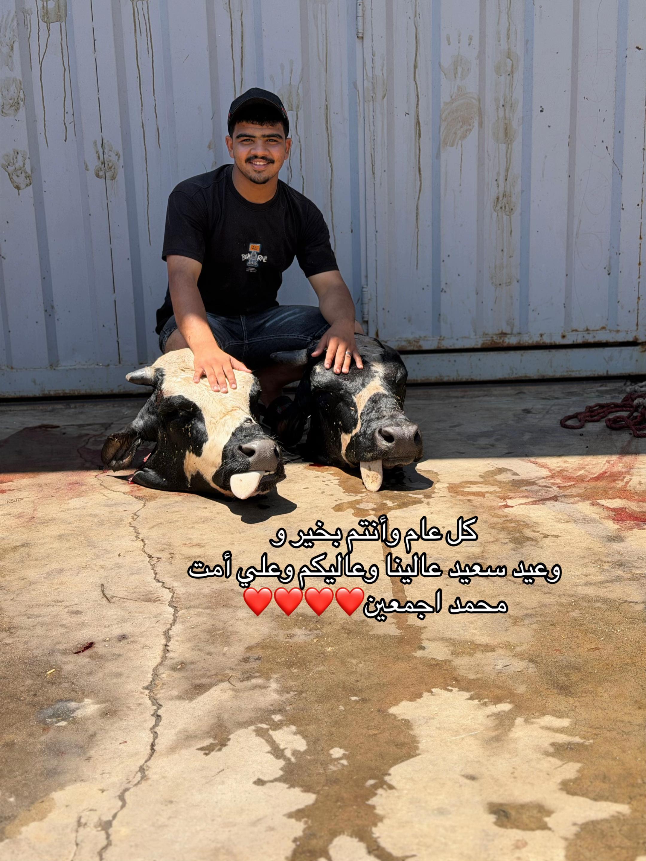 @El saker 123@ ✨🦅