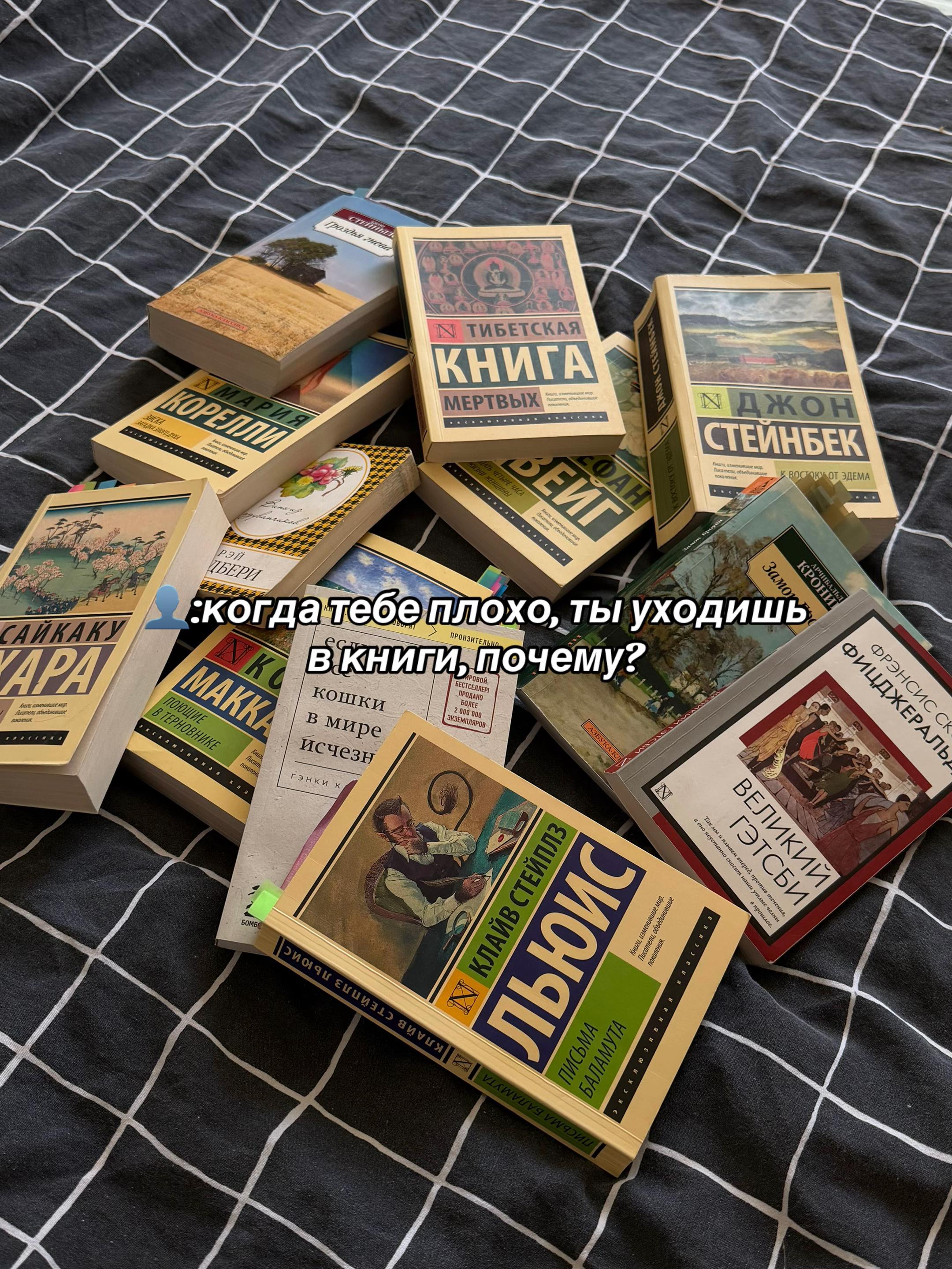 @📚 веточка читает 🌿