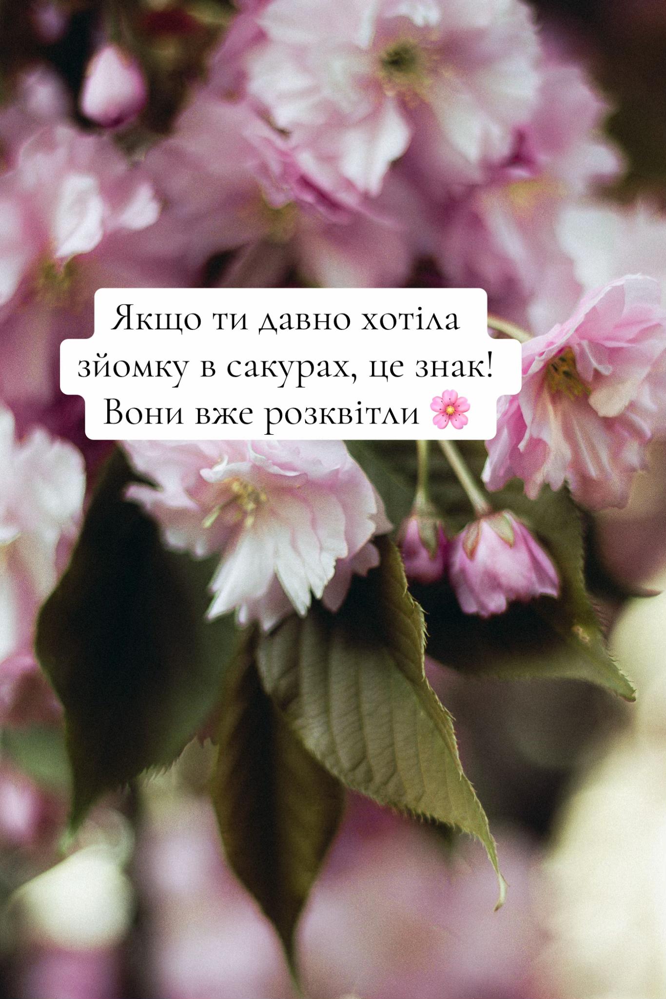 @zolota.photo