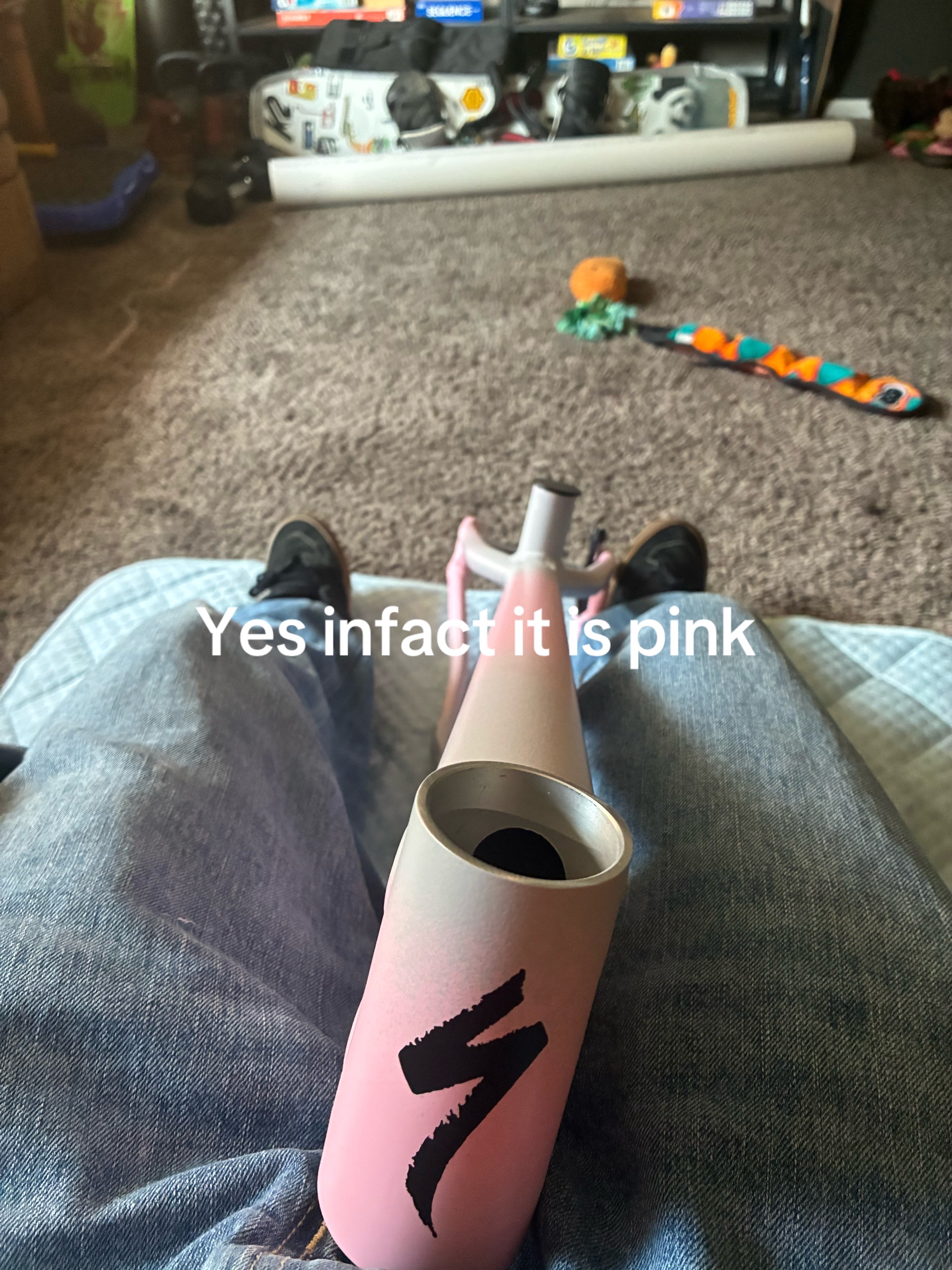 @steezus🏔️