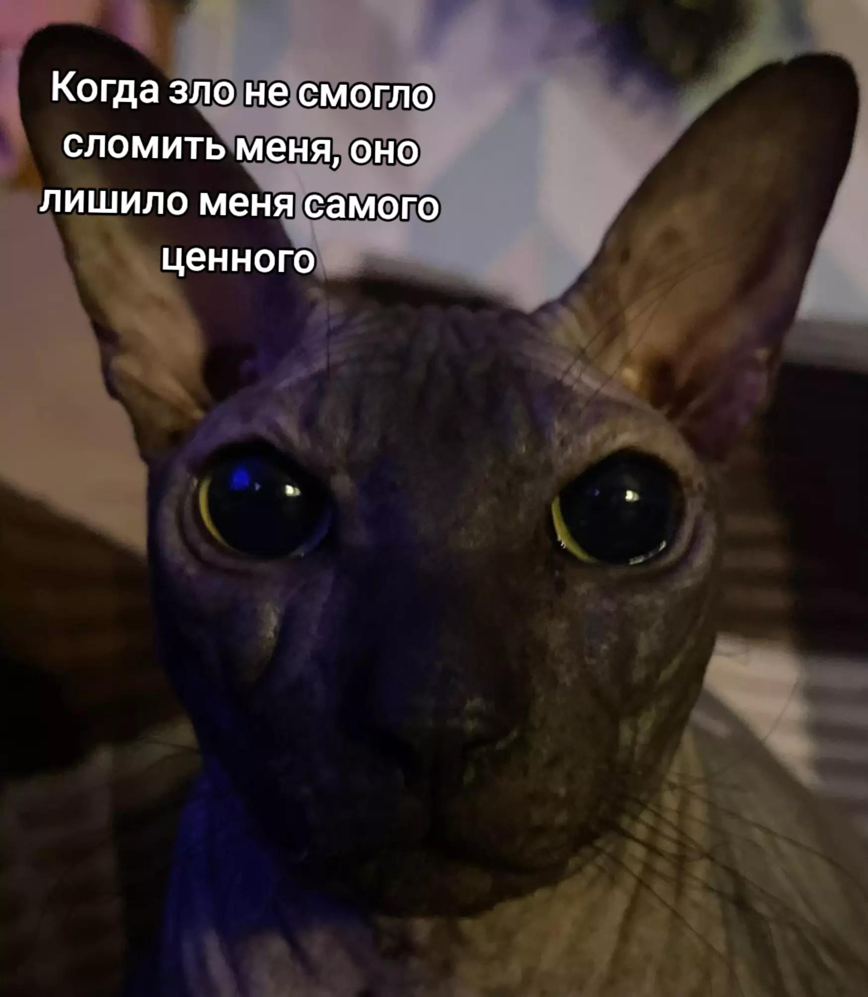 @LJEDMITRII CUЩECTBUET