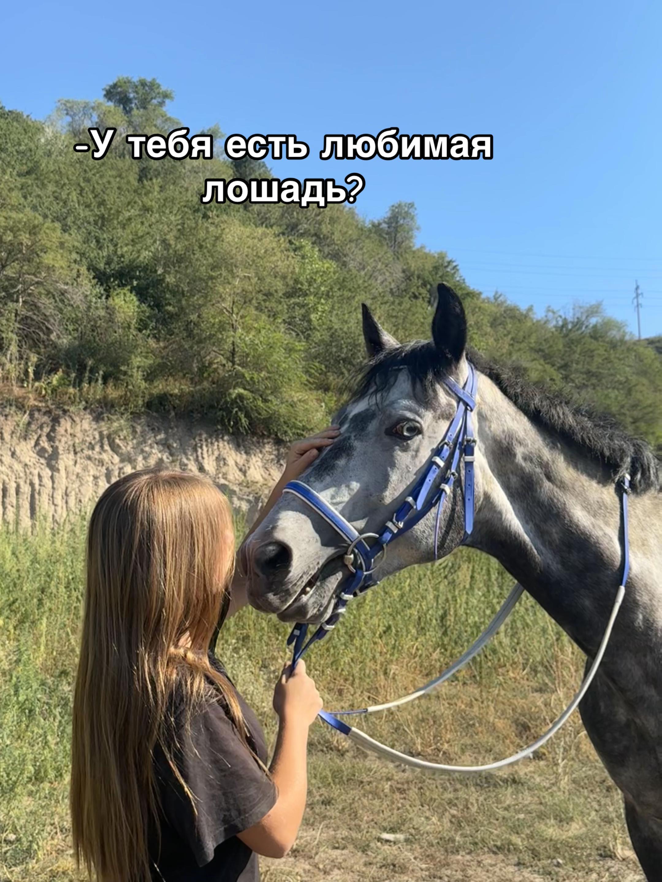 @🐎Ева🐎