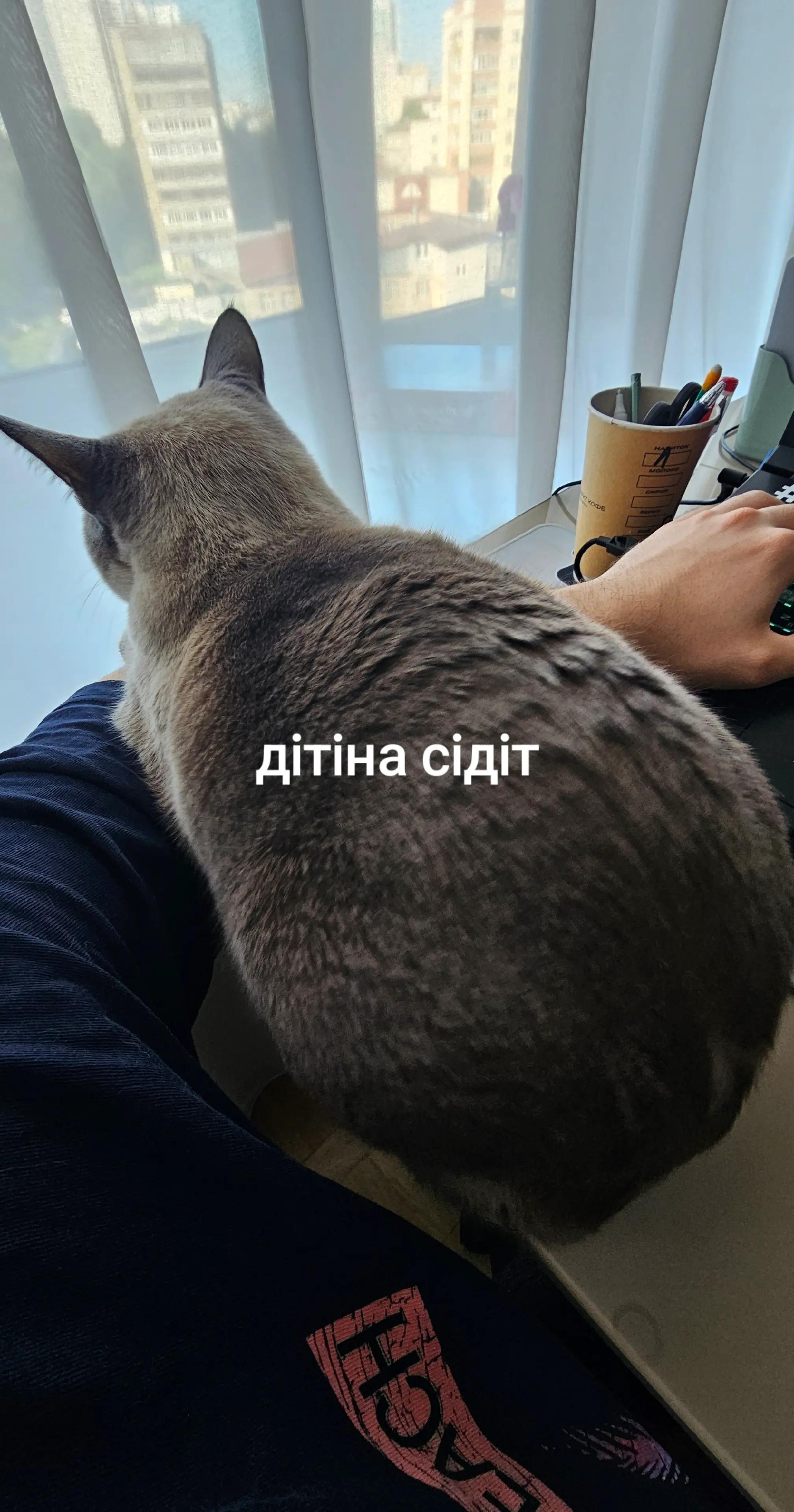 @артурус, а кто же ещё?