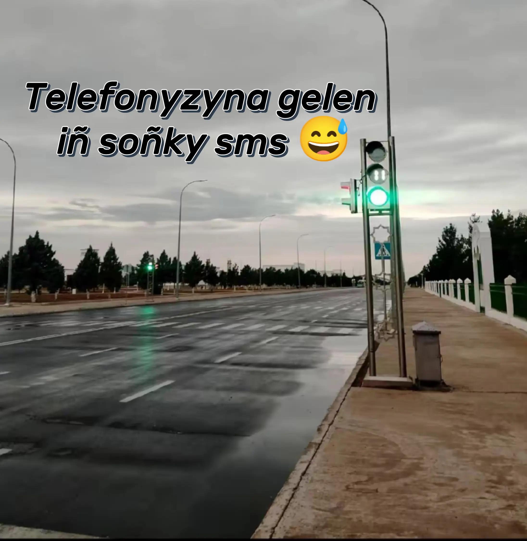 @Ąŋŋąmyrądova...🌒