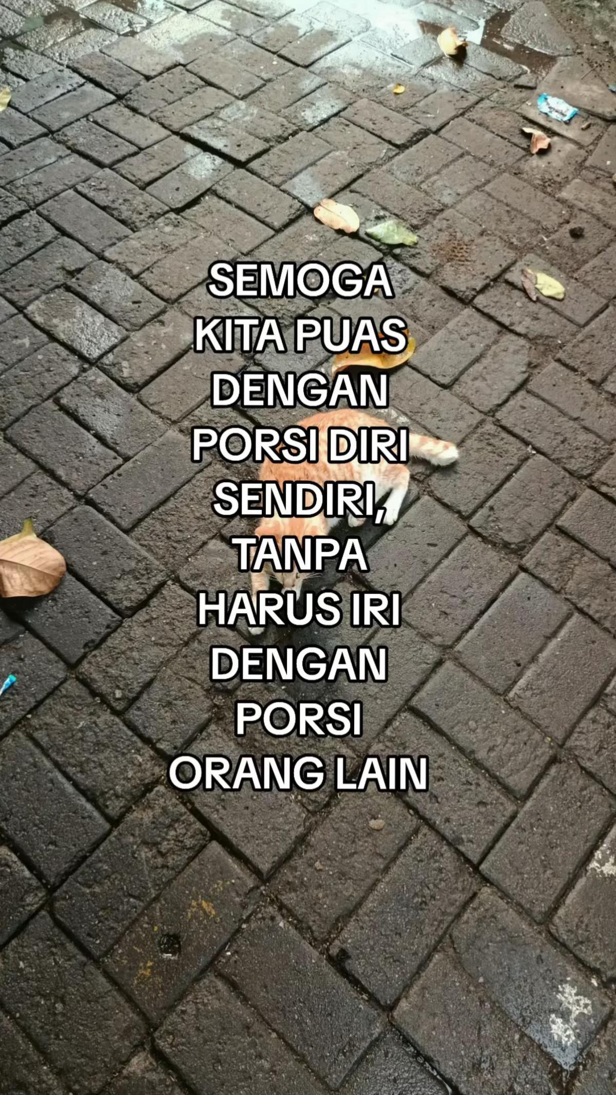 @Bang_buan🕸️