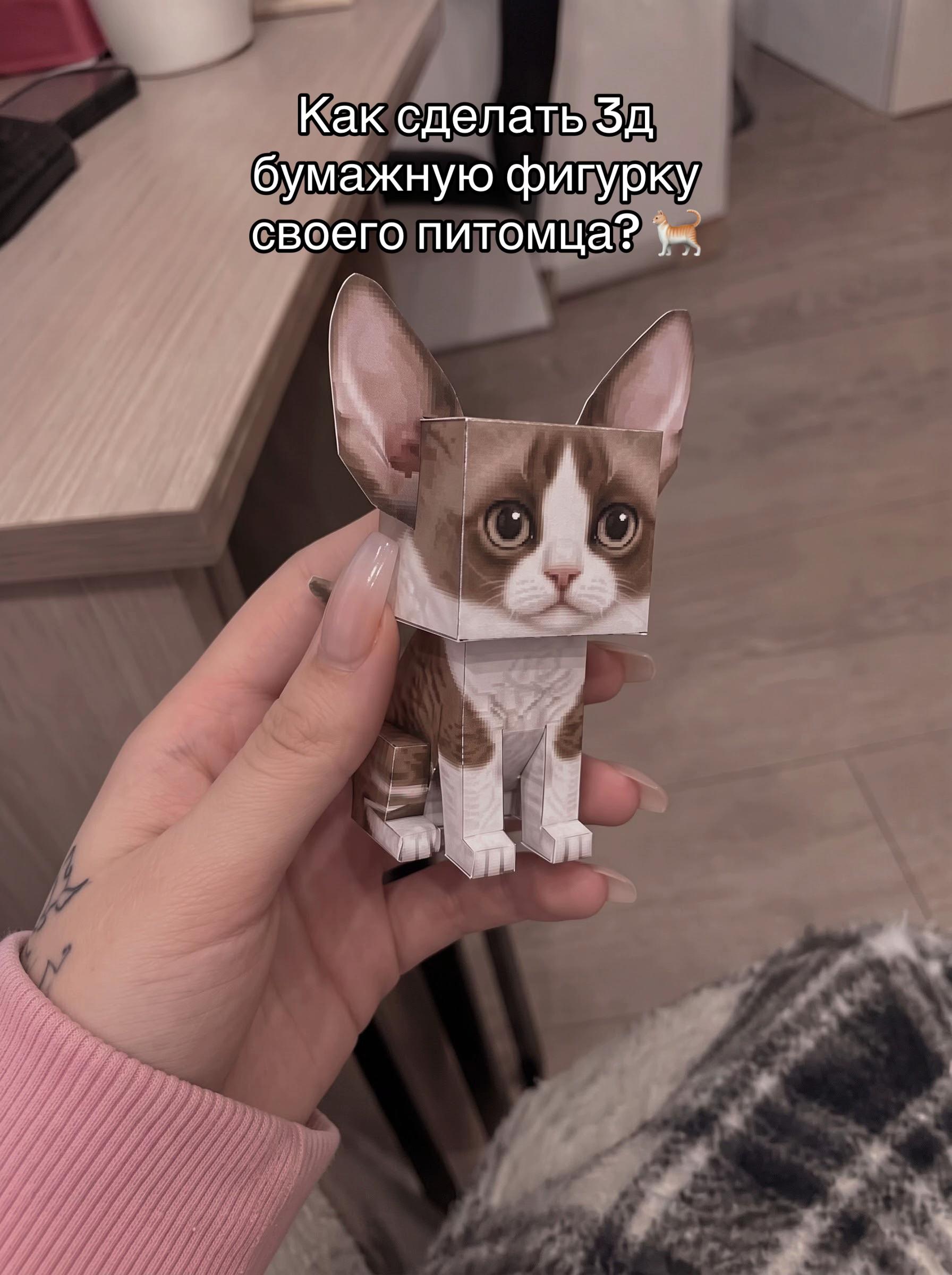 @plamure.