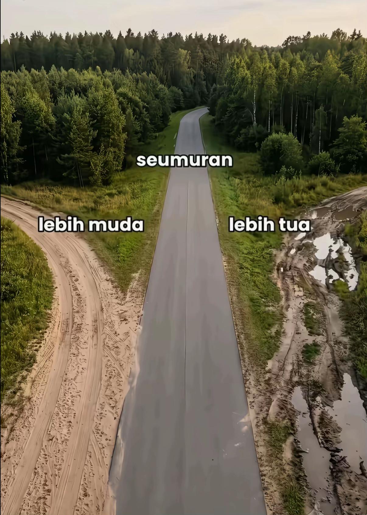 @2.4