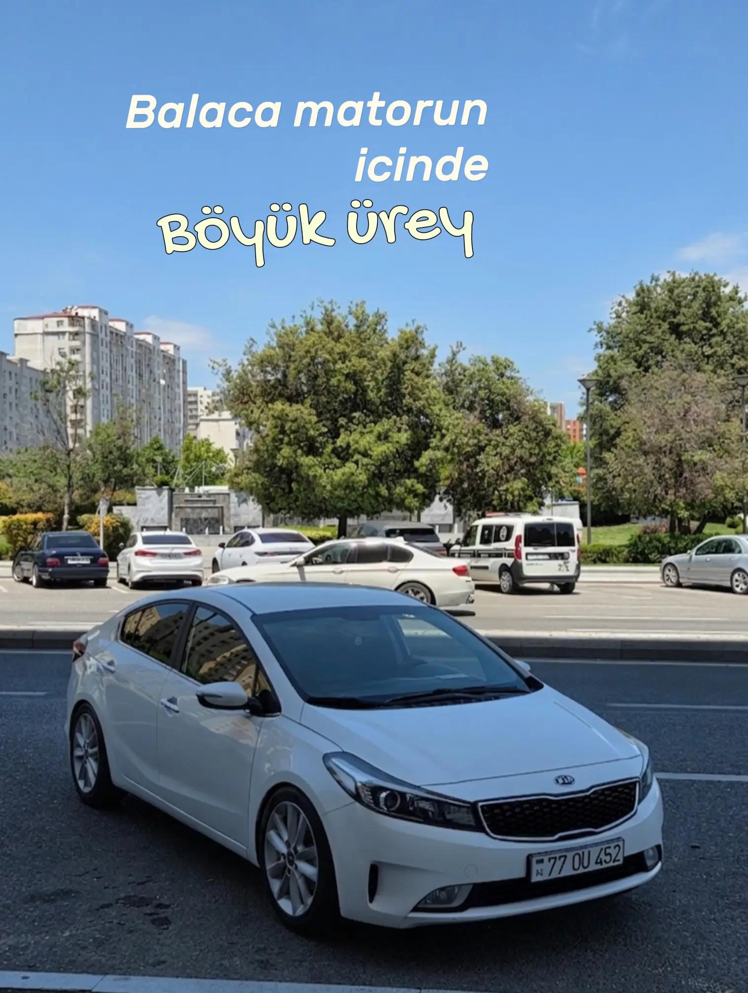 @zamanov452