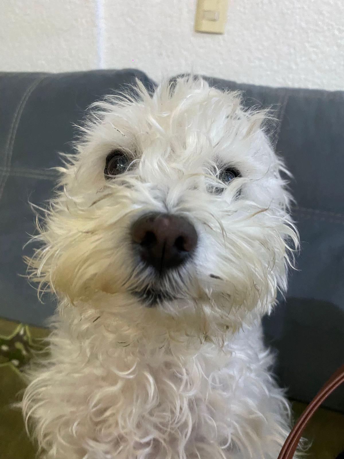 @😒Valentina Cue🥰