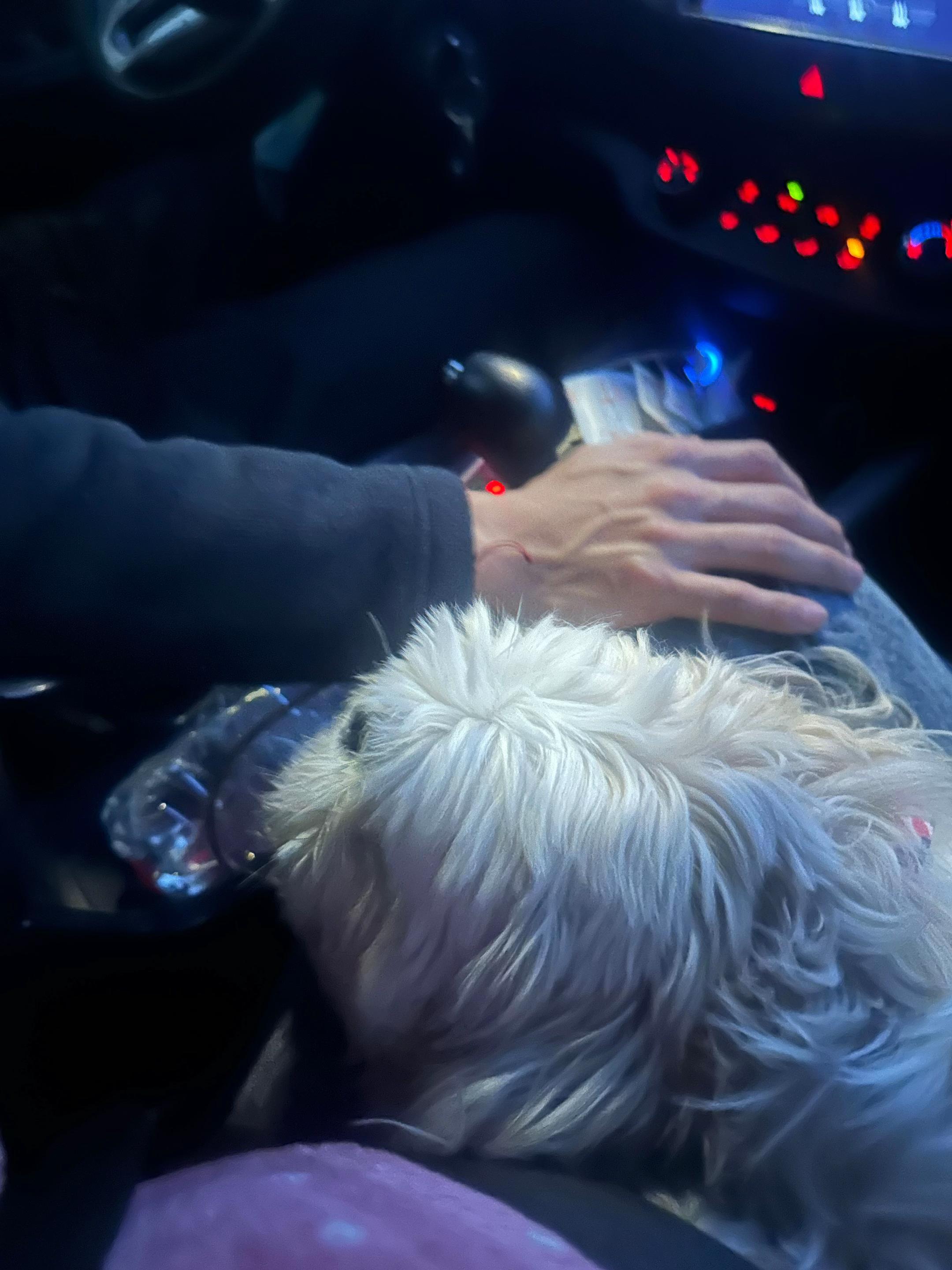 @Aliz Rodriguez