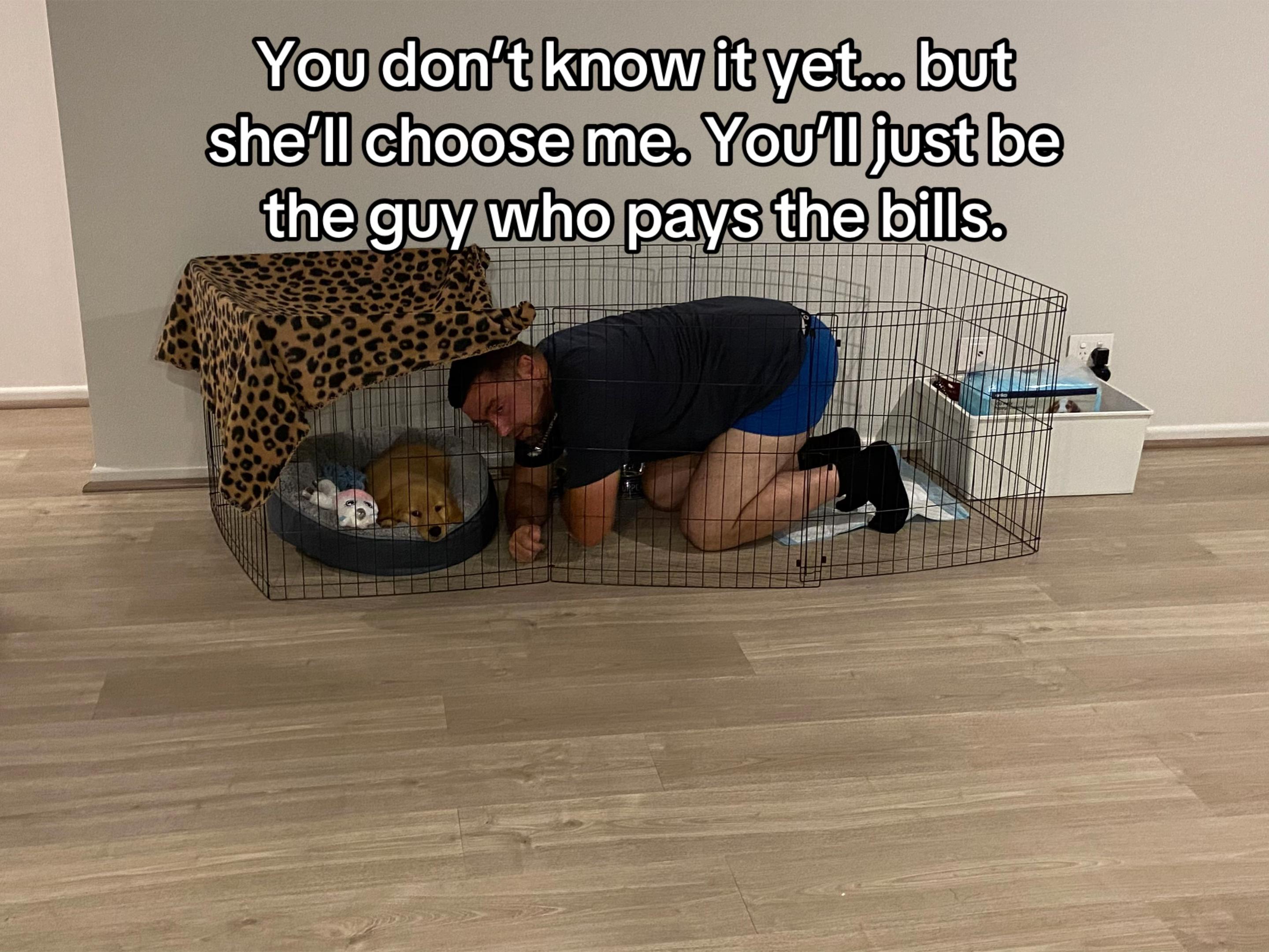 @3goldenretriever