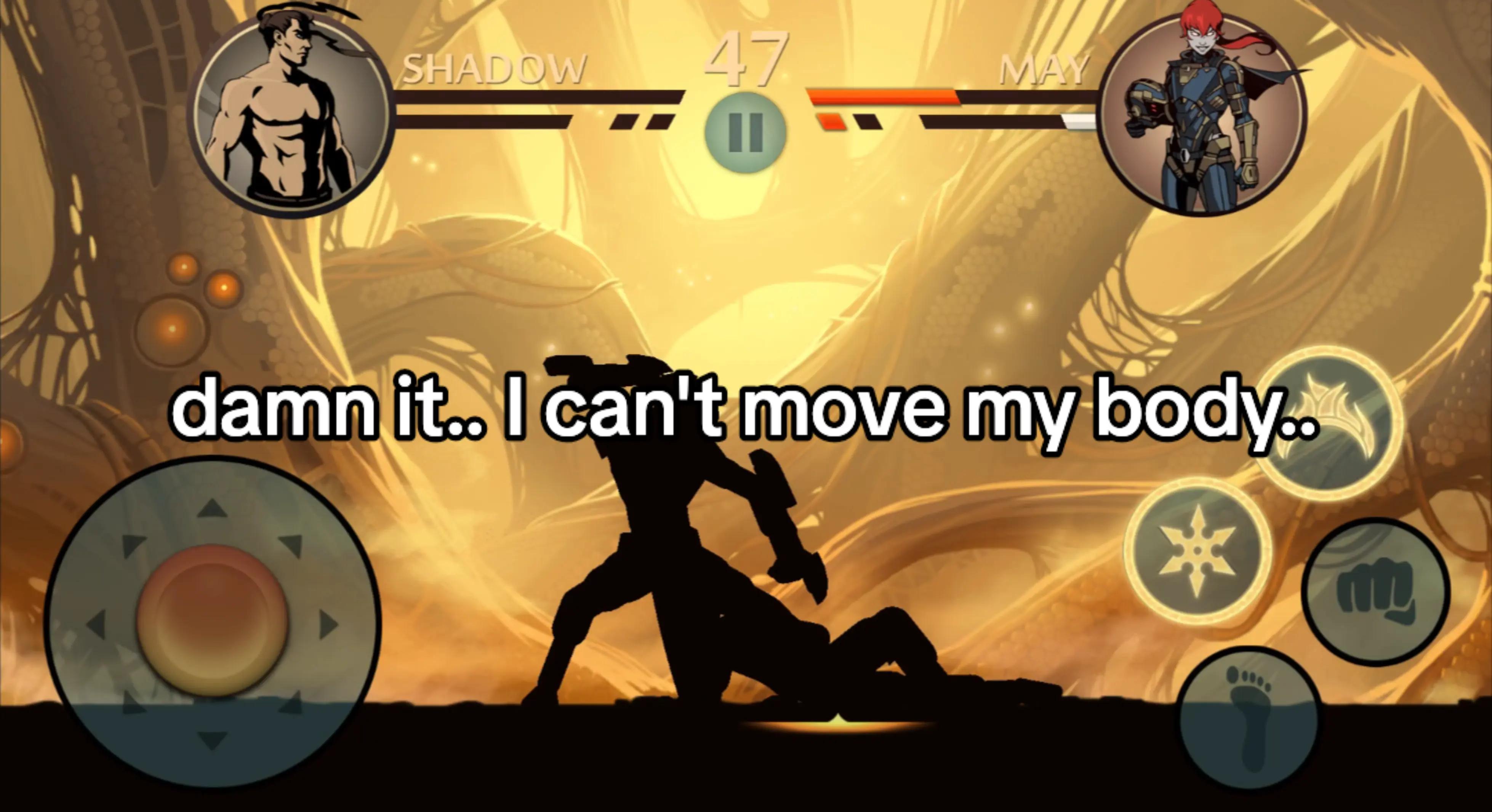 @Amir Shadow Fight