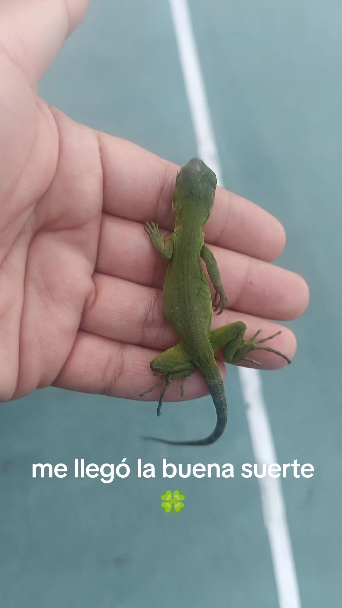 @Joselyn Santos