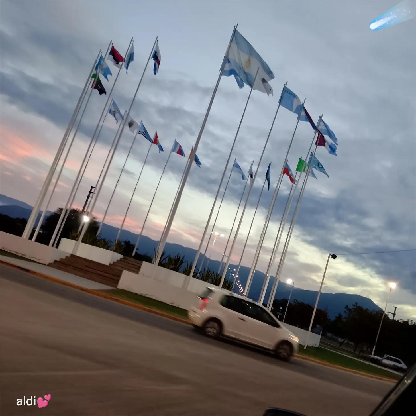 @aldi💗