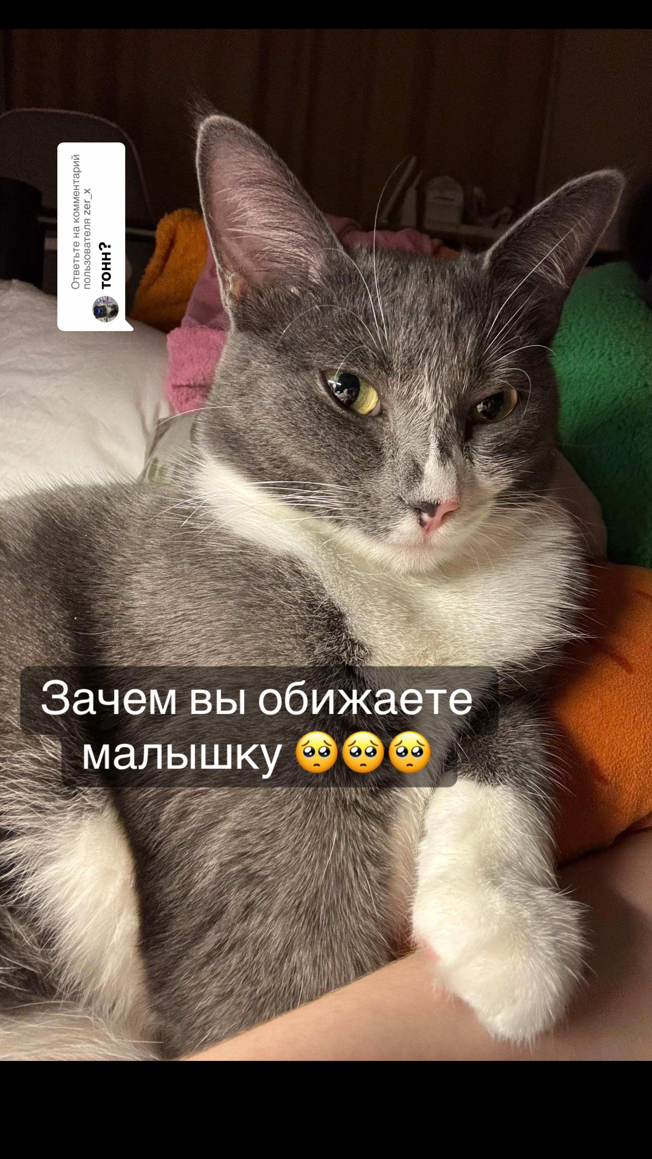 @alenas_wild_home