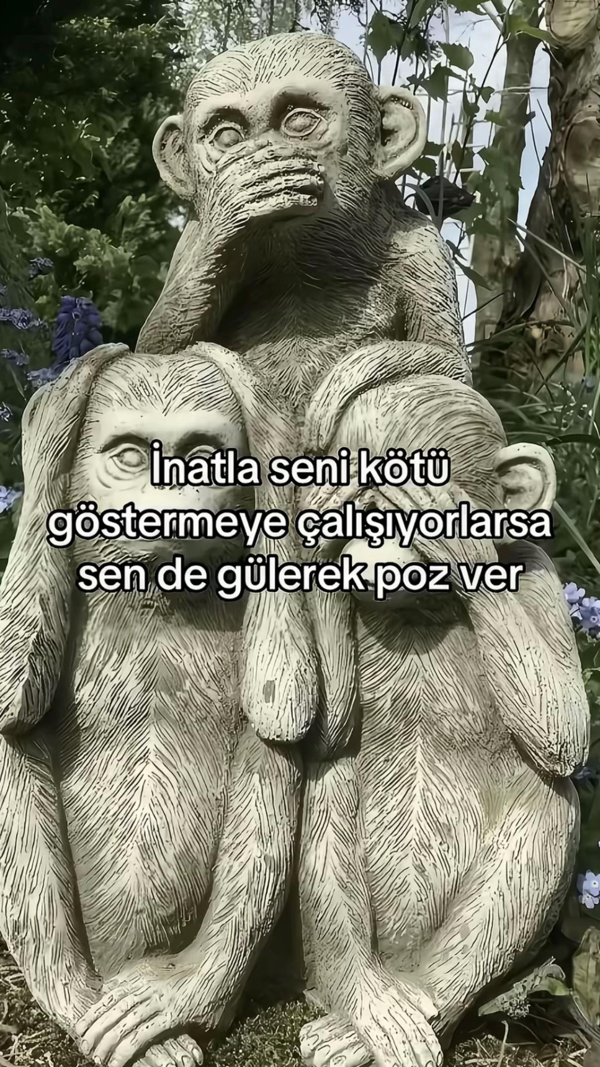 @๐๐๐๐ถ๐ ๐ฬง๐๐ฆโโ๐๏ธ