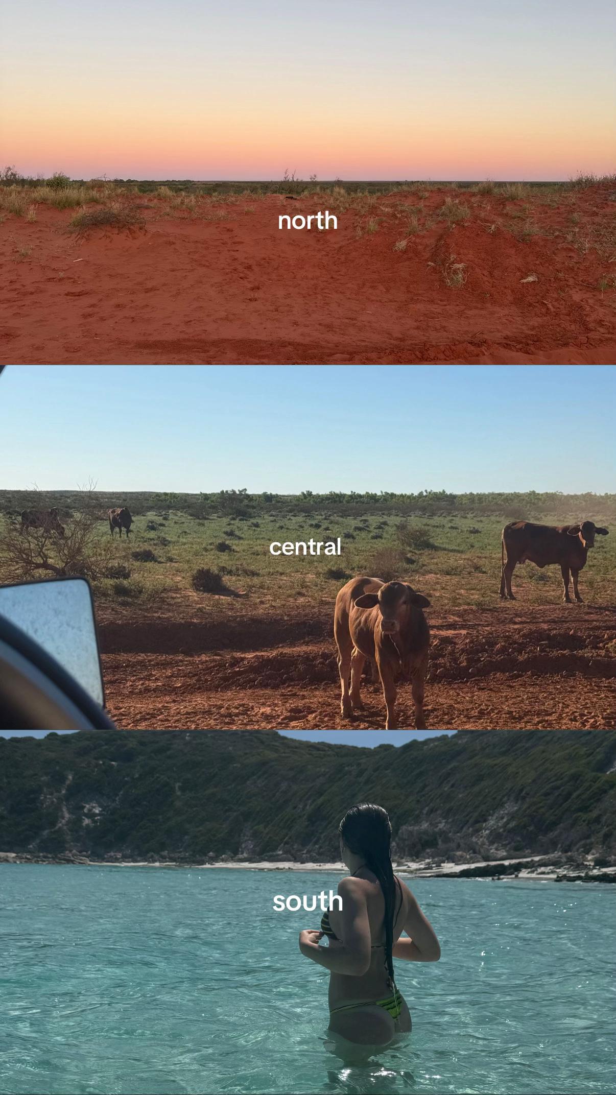@Tilda
