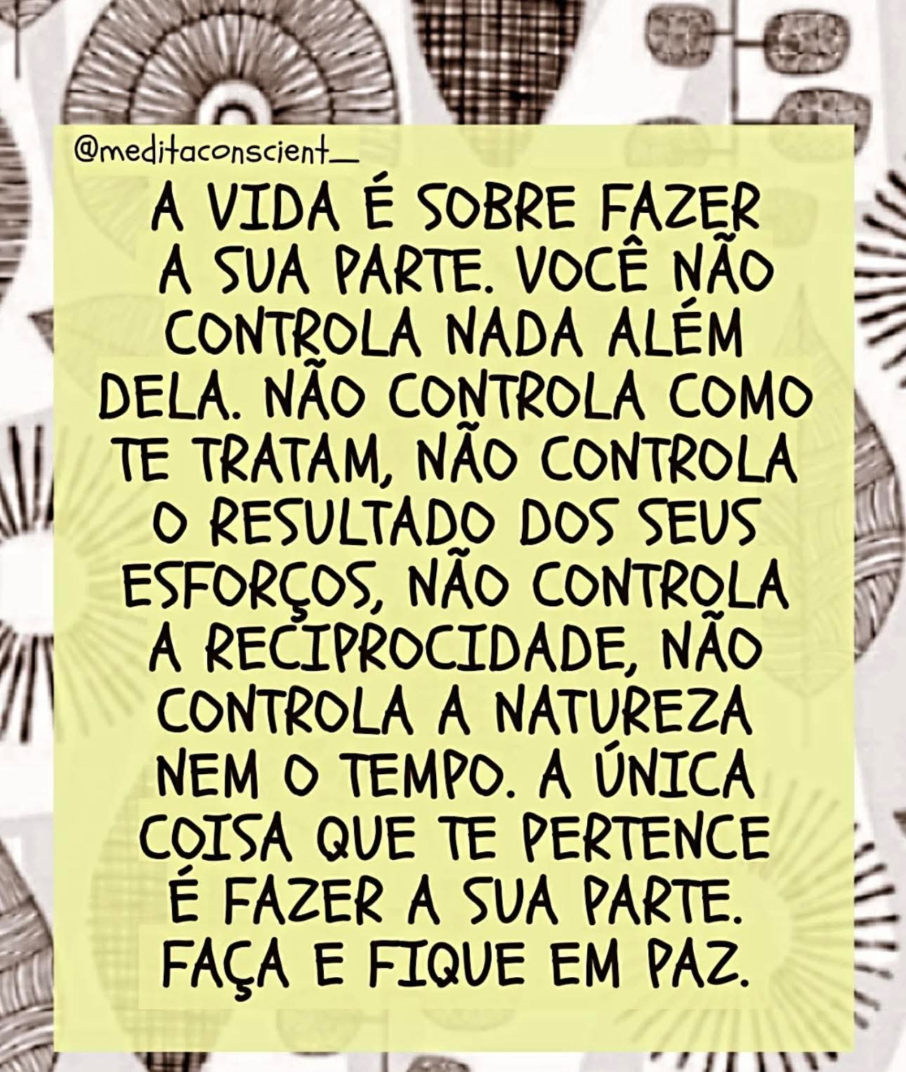 @carlos B Felix