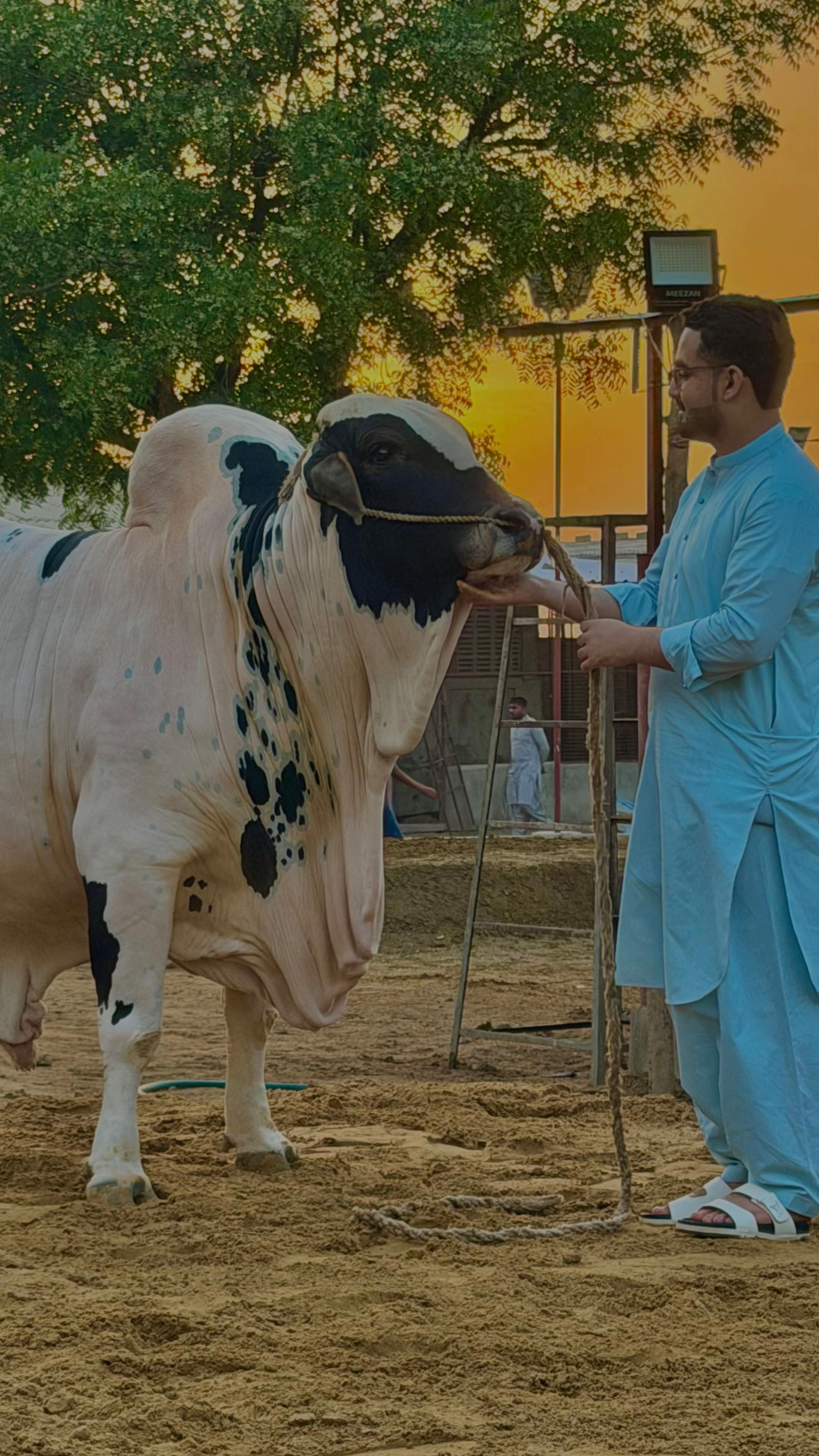 @SAEED—KHAN