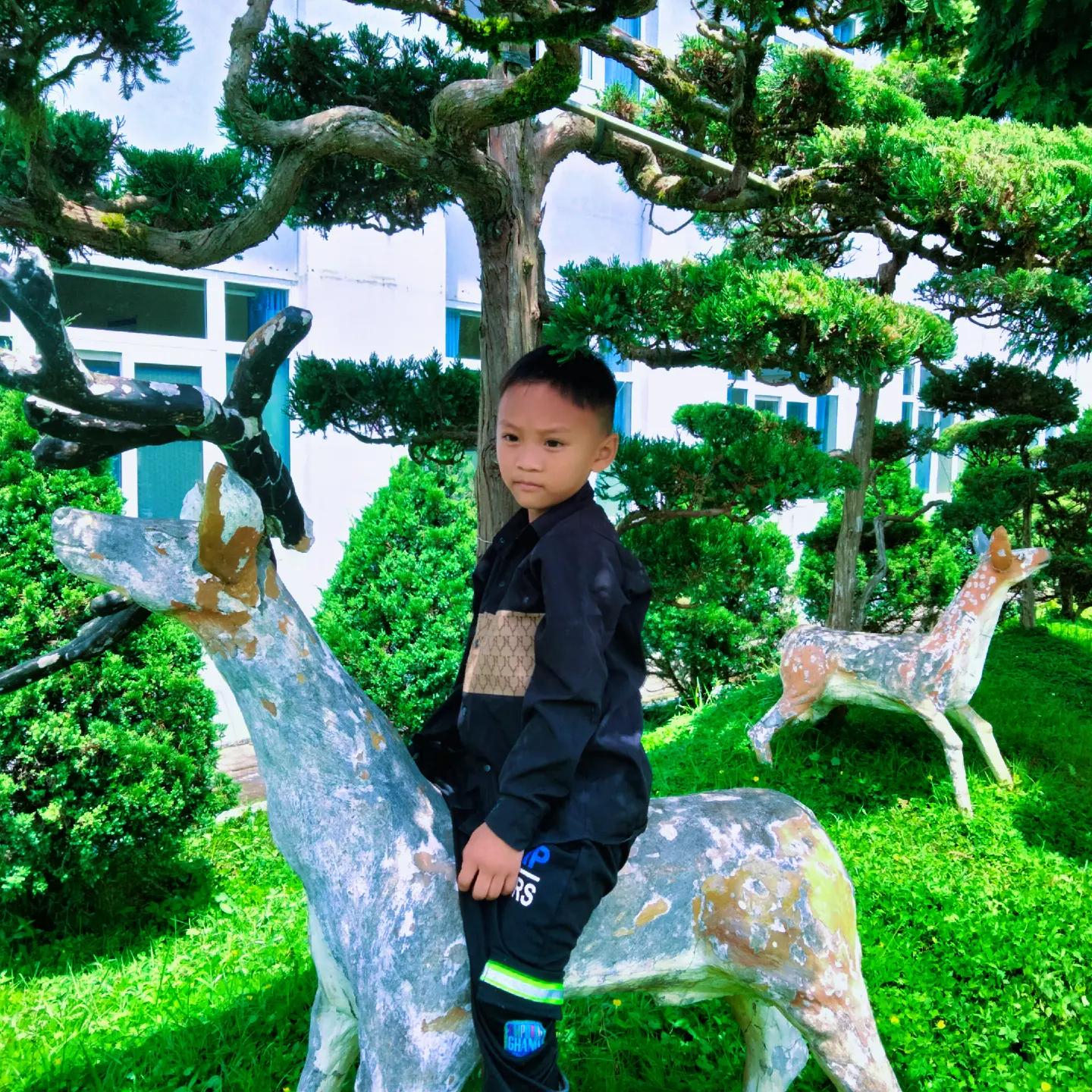 @Dung giàng