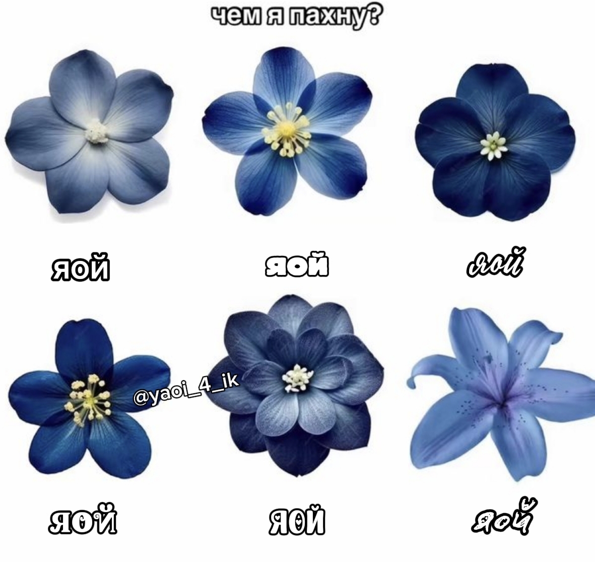 @нет геев, нет жизни