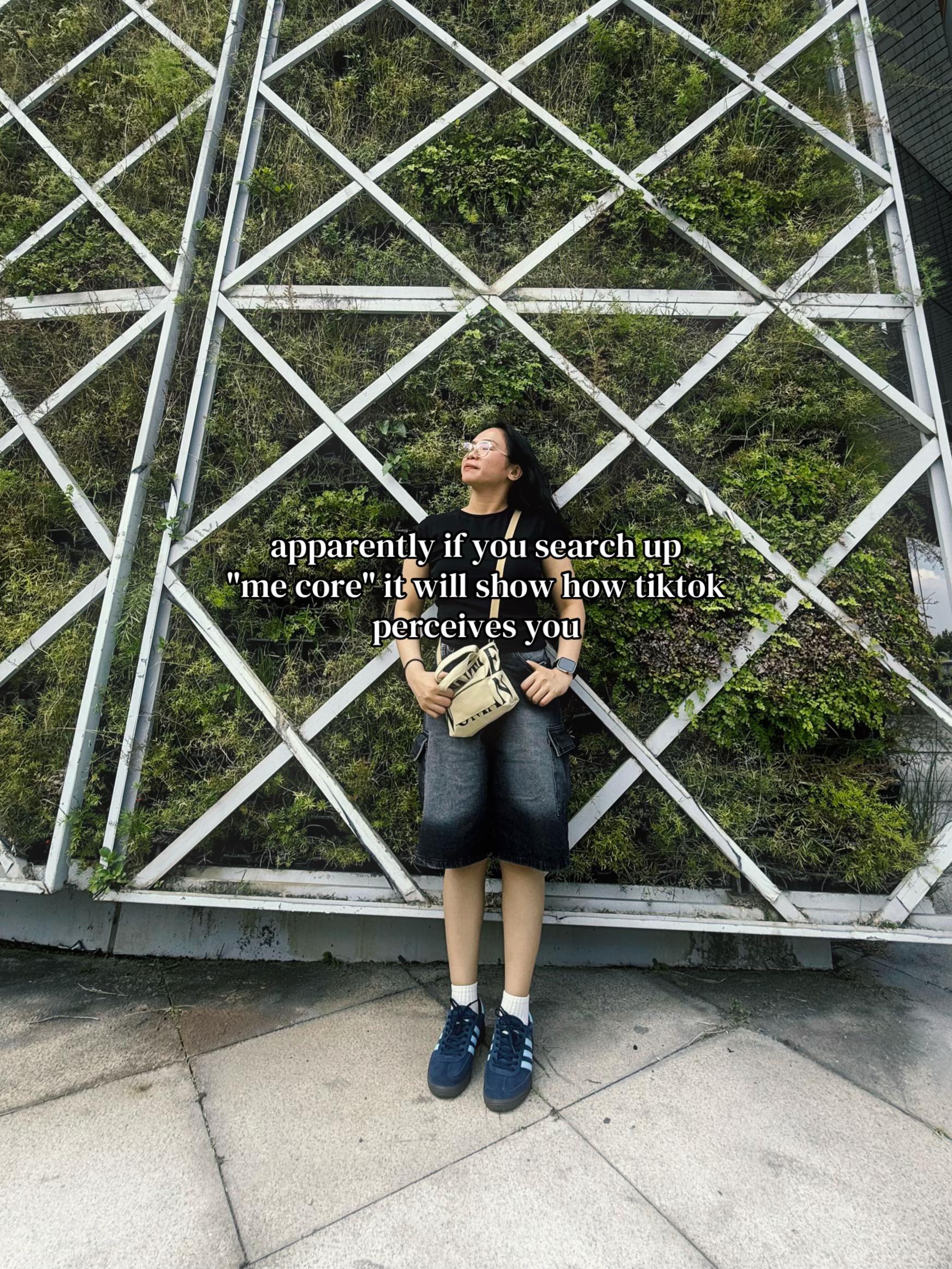 @n i c a ᥫ᭡