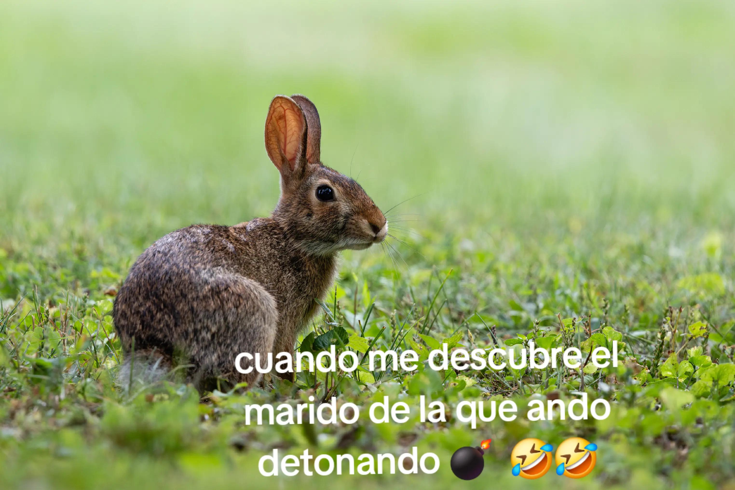 @Axel Ramos